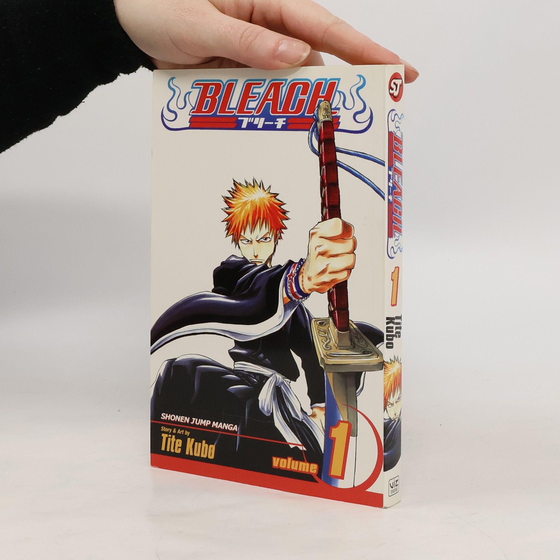 Tite Kubo Bleach, Vol. 1
