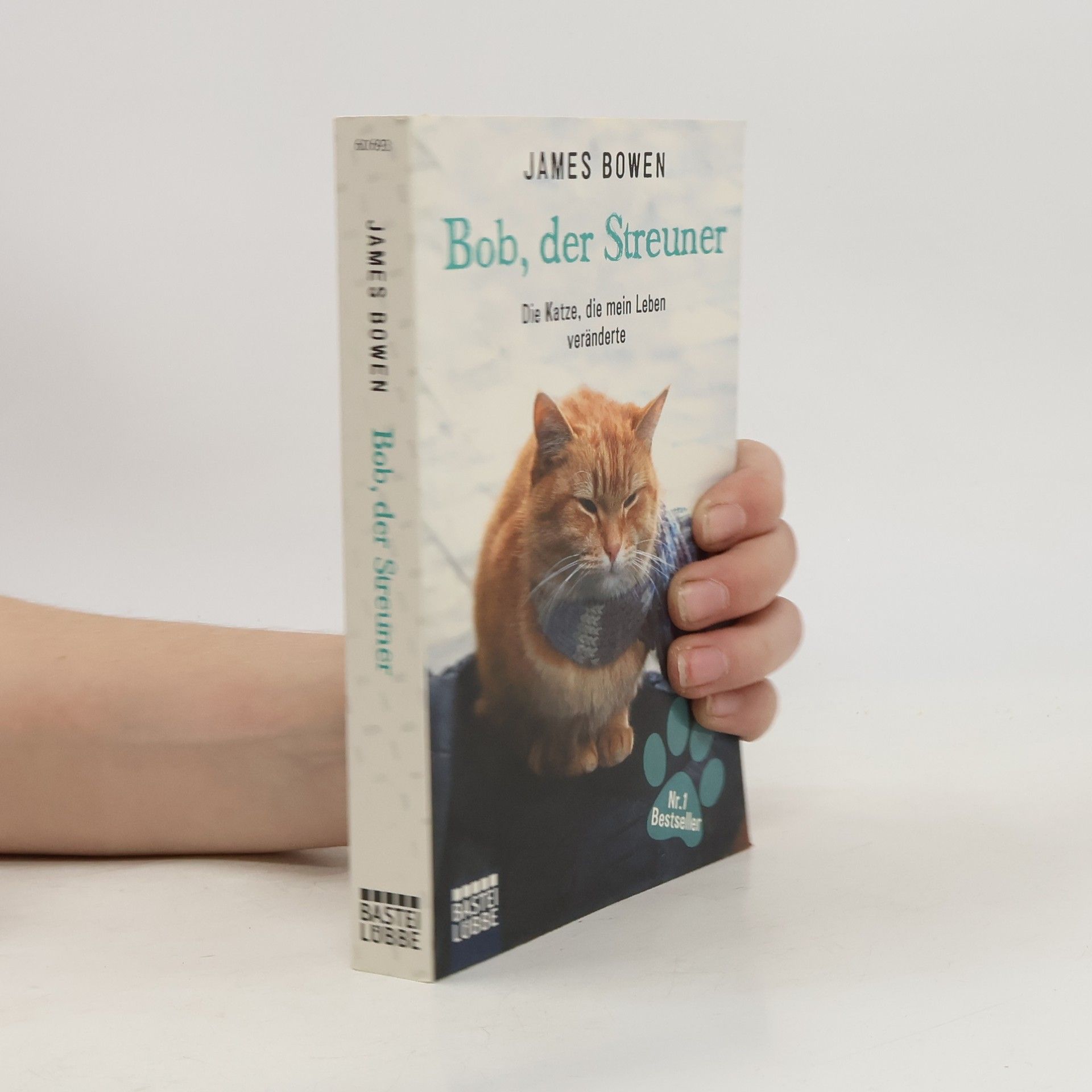 James Bowen Bob, der Streuner