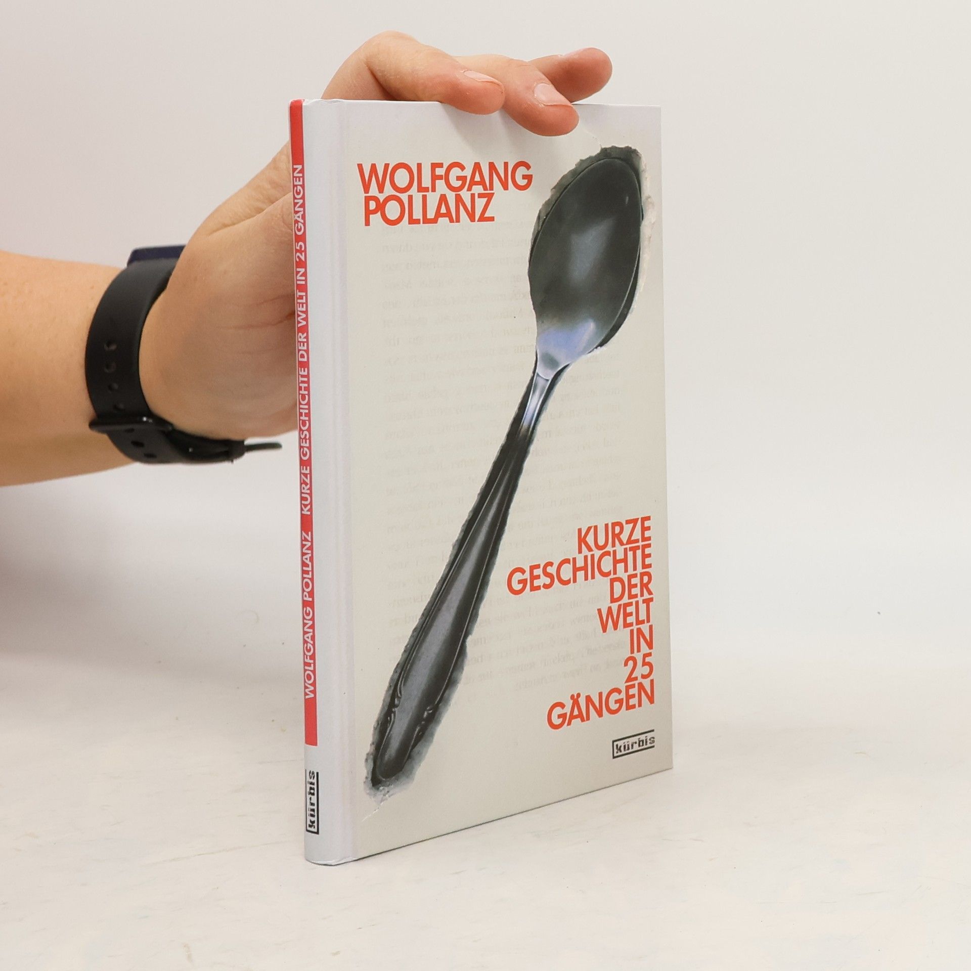 Wolfgang Pollanz Kurze Geschichte der Welt in 25 Gängen