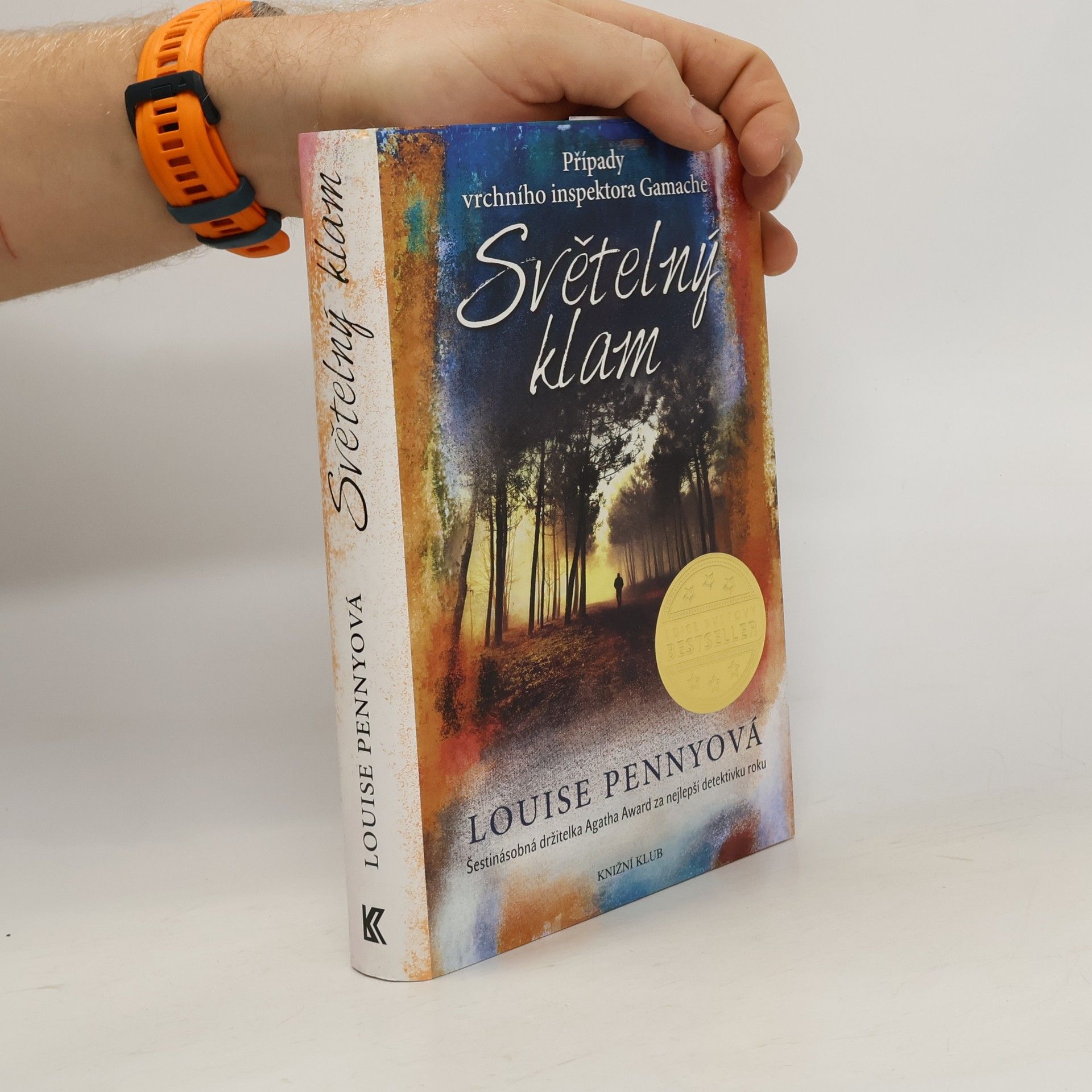 Louise Penny Světelný klam