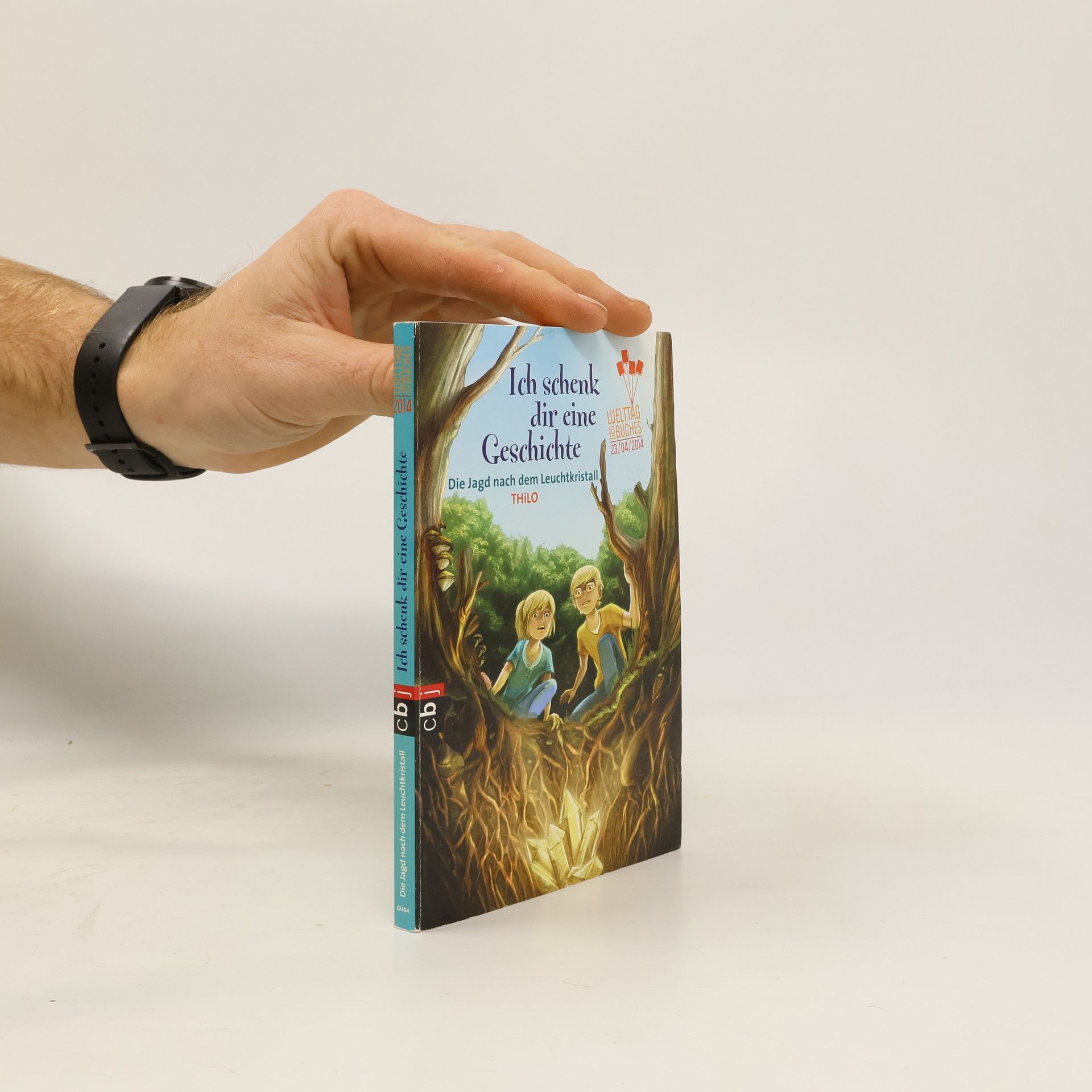 Thilo Petry-Lassak Die Jagd nach dem Leuchtkristall