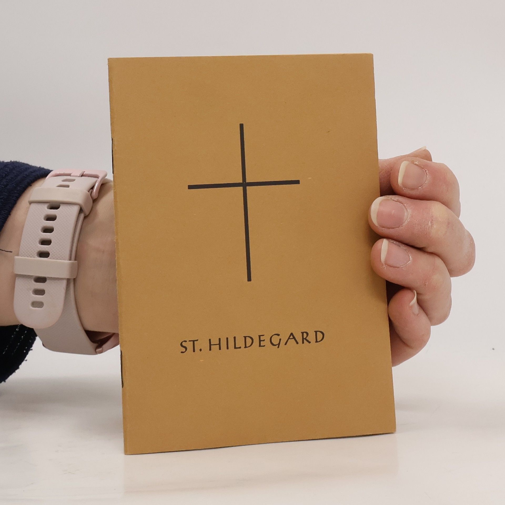 Die Heilige Hildegard