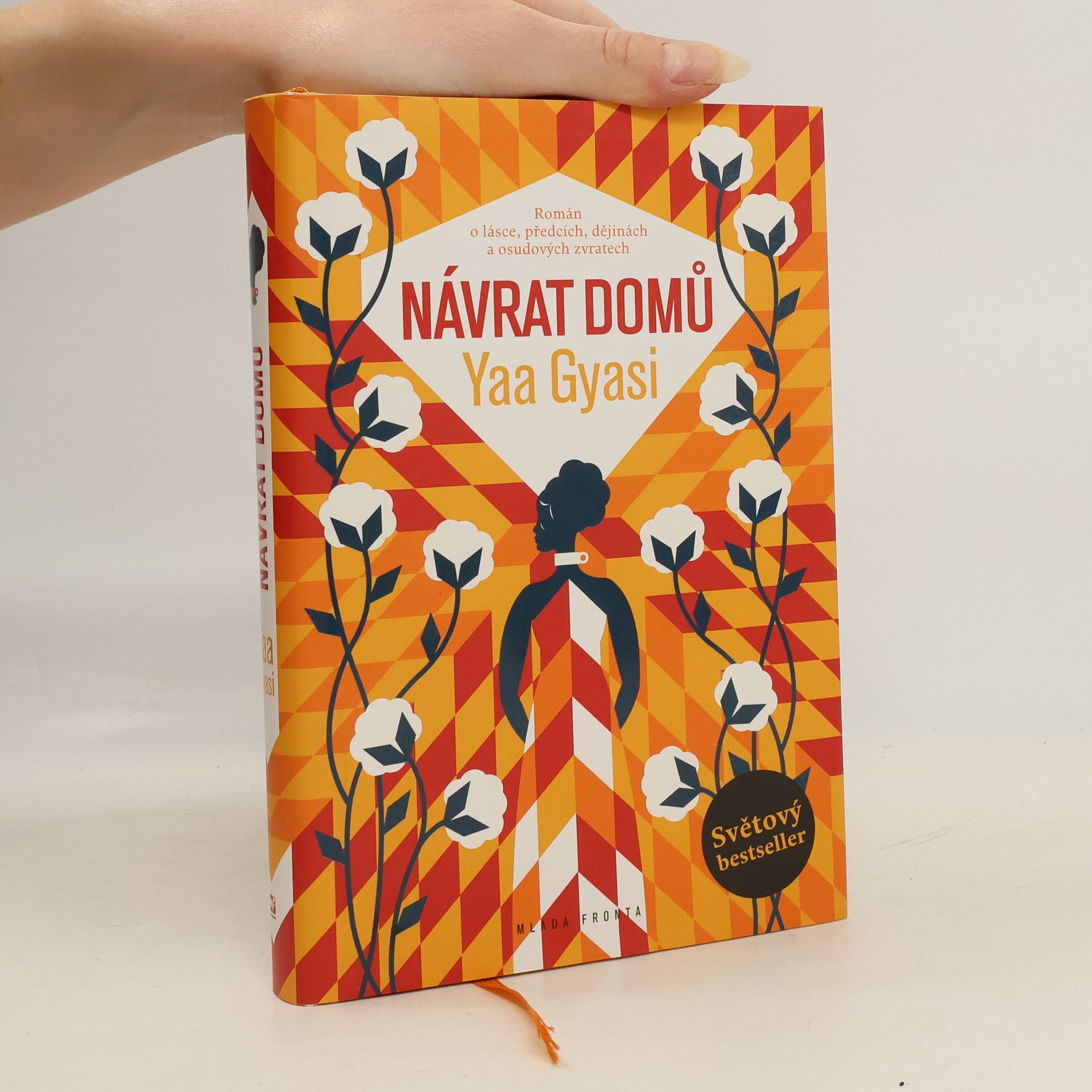 Yaa Gyasi Návrat domů
