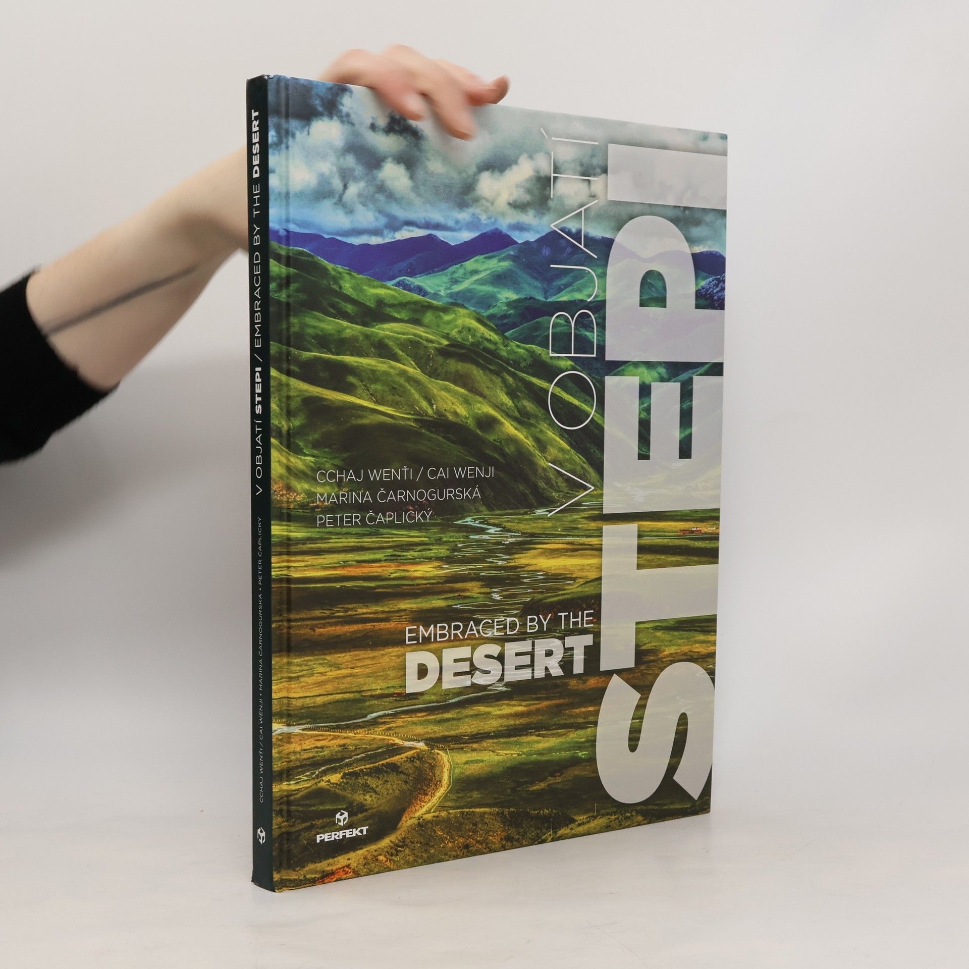 Auteurscollectief V objatí stepi