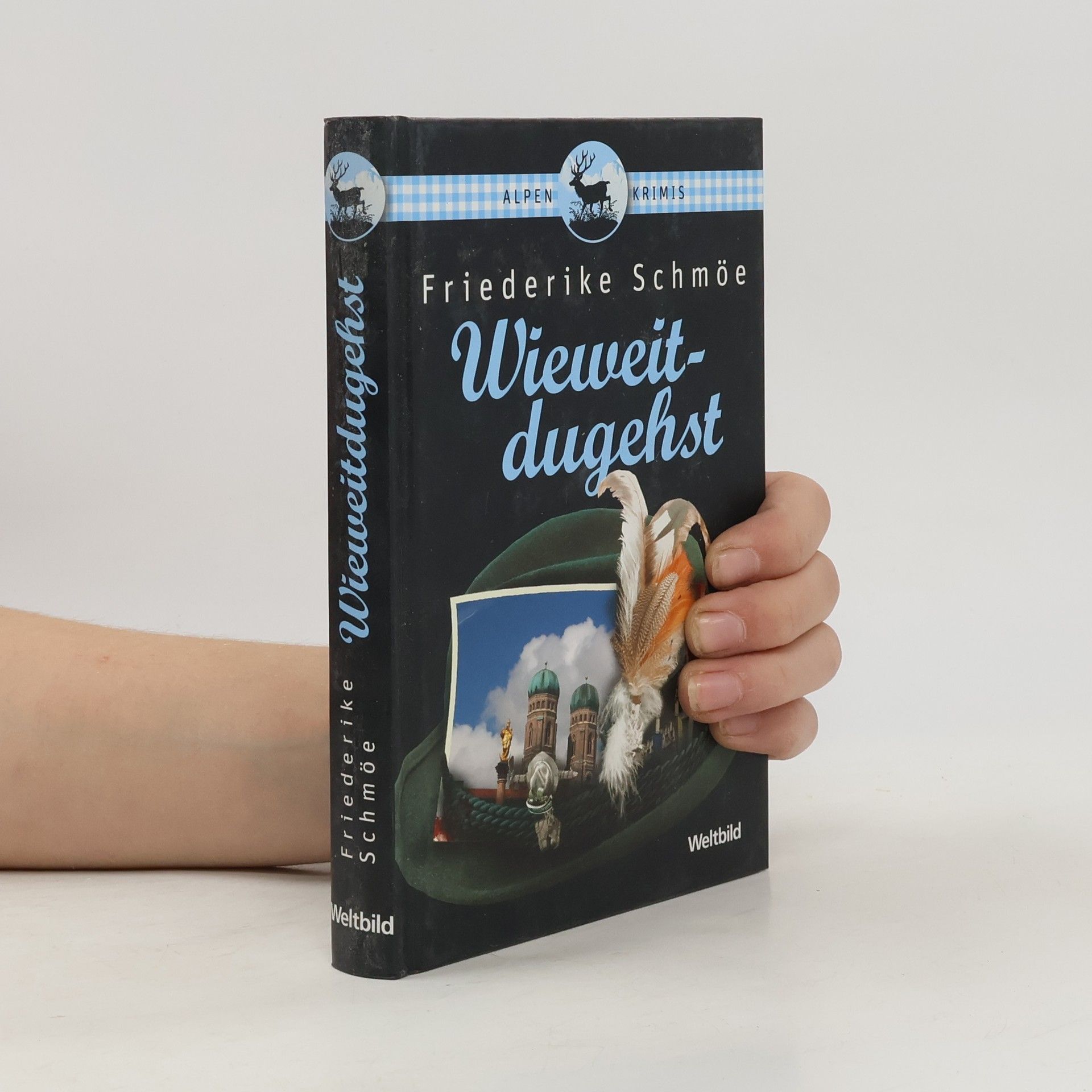 Friederike Schmöe Wieweitdugehst