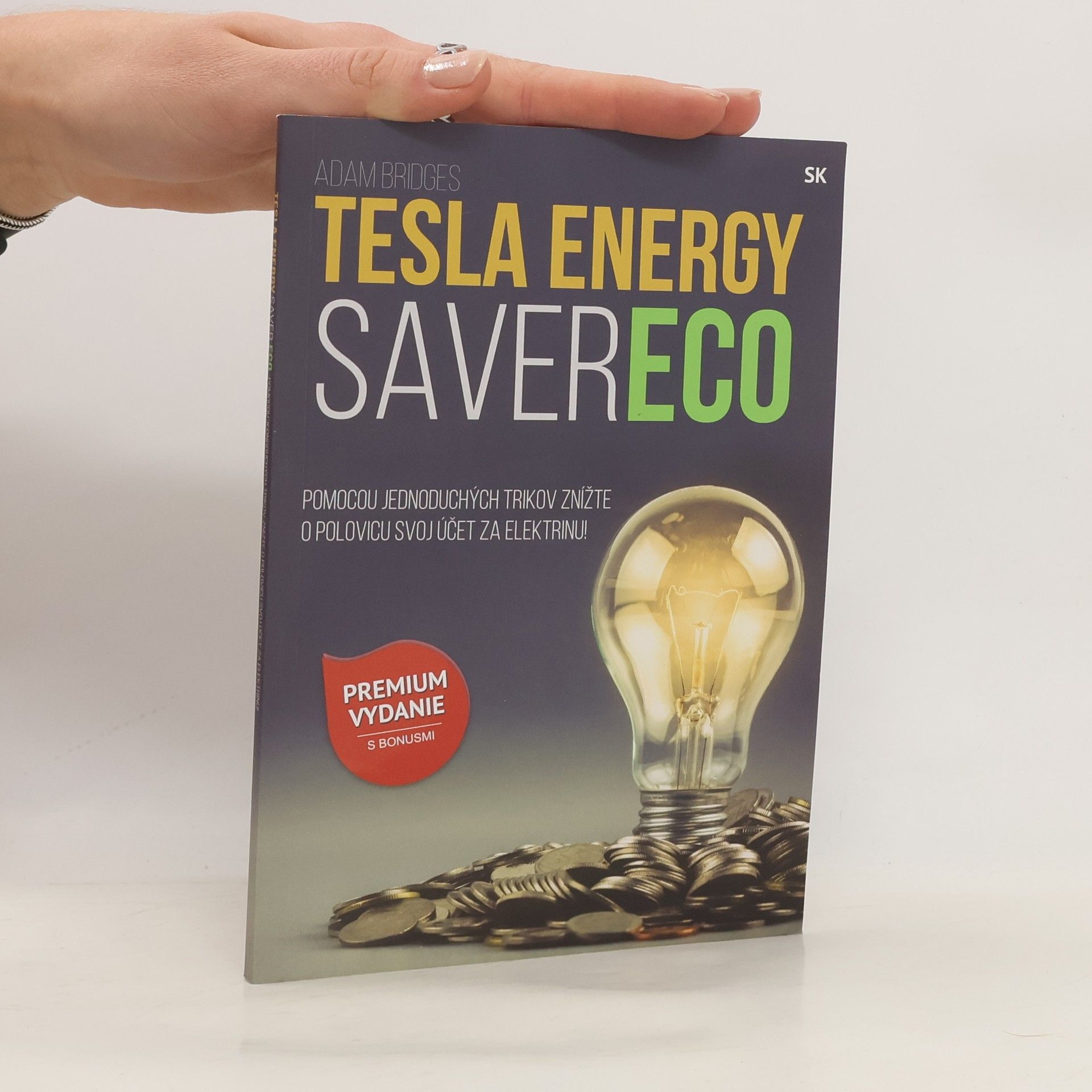 Adam Bridges Tesla Energy Saver Eco