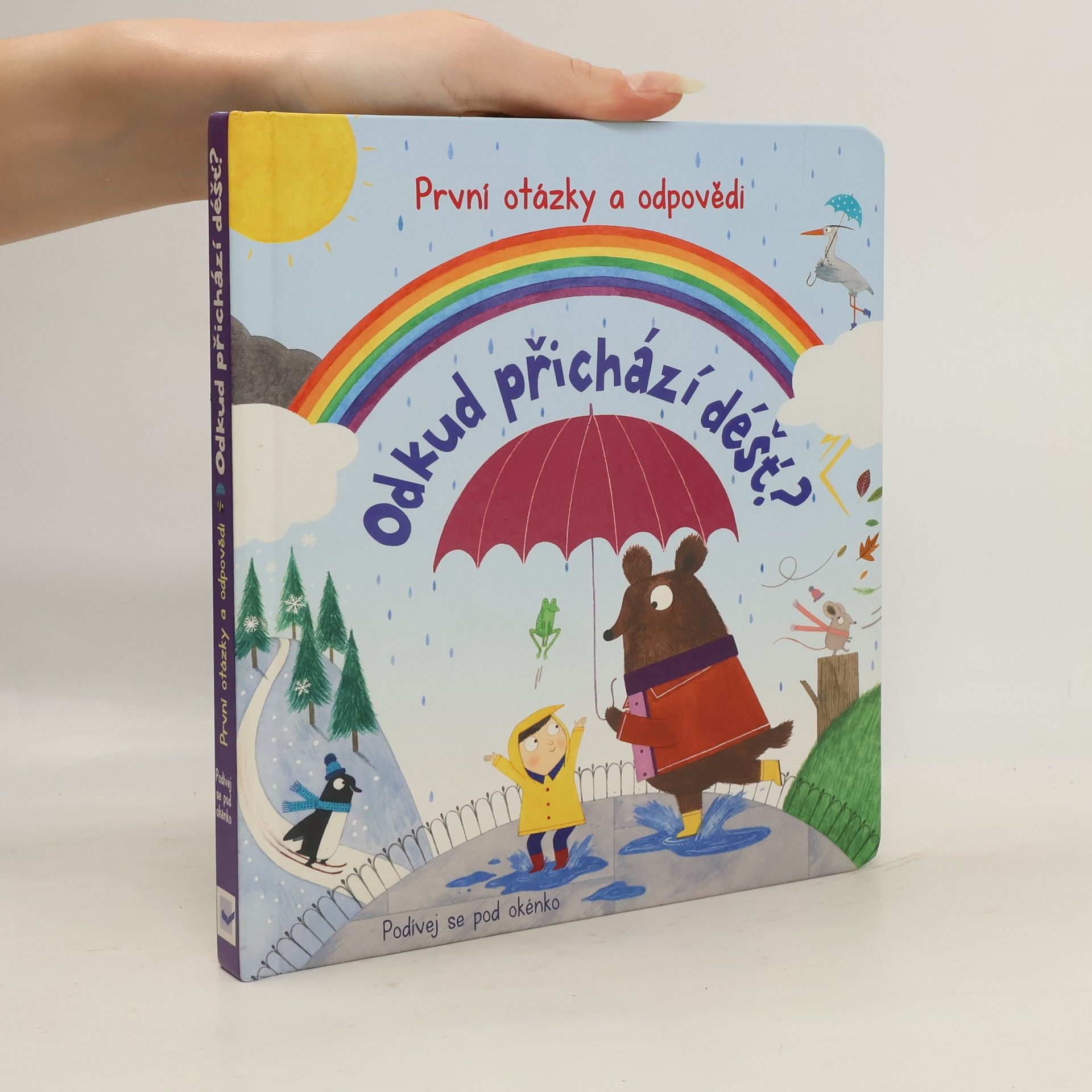 Christine Pym Odkud přichází déšť?