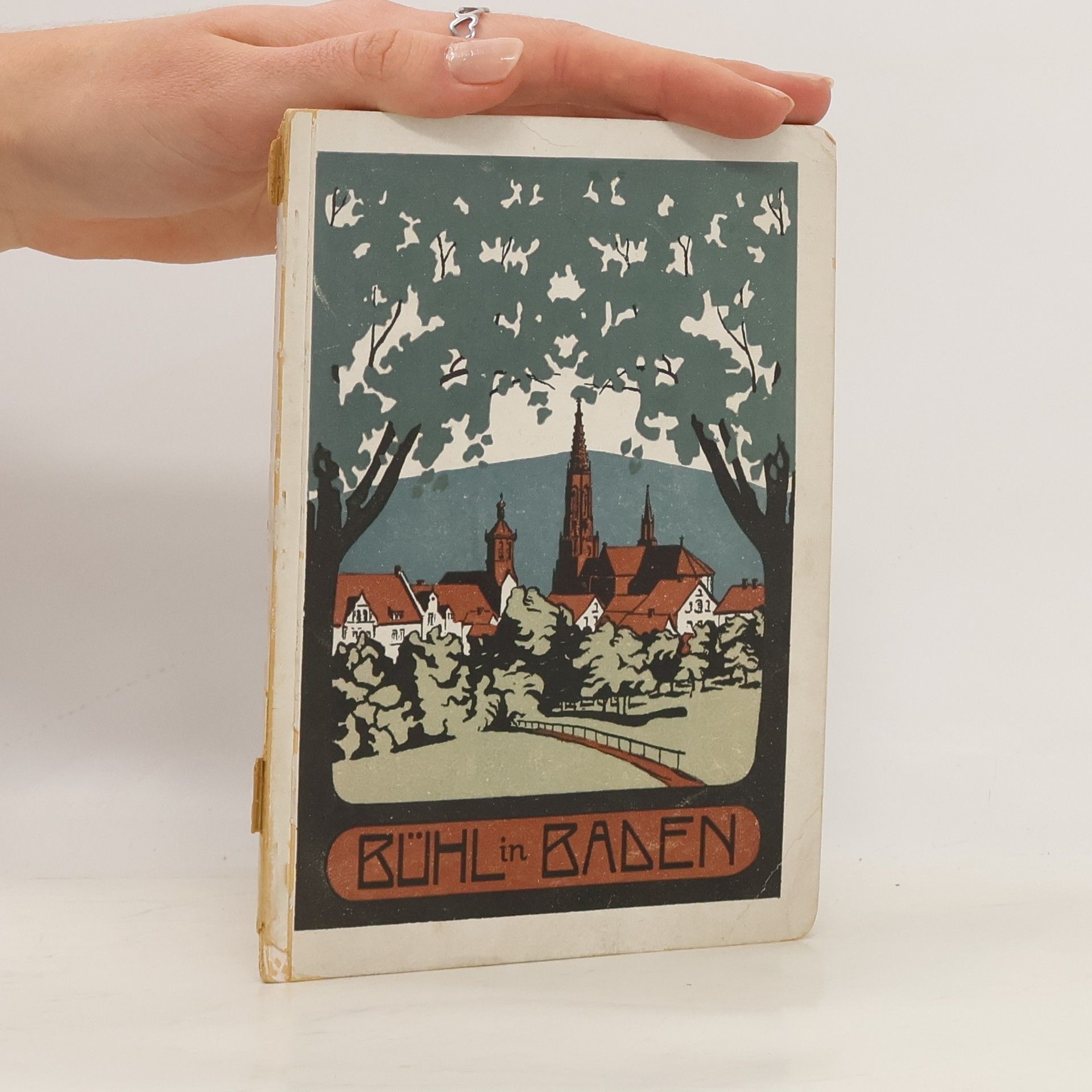 Autorenkollektiv Führer von Bühl i. Baden