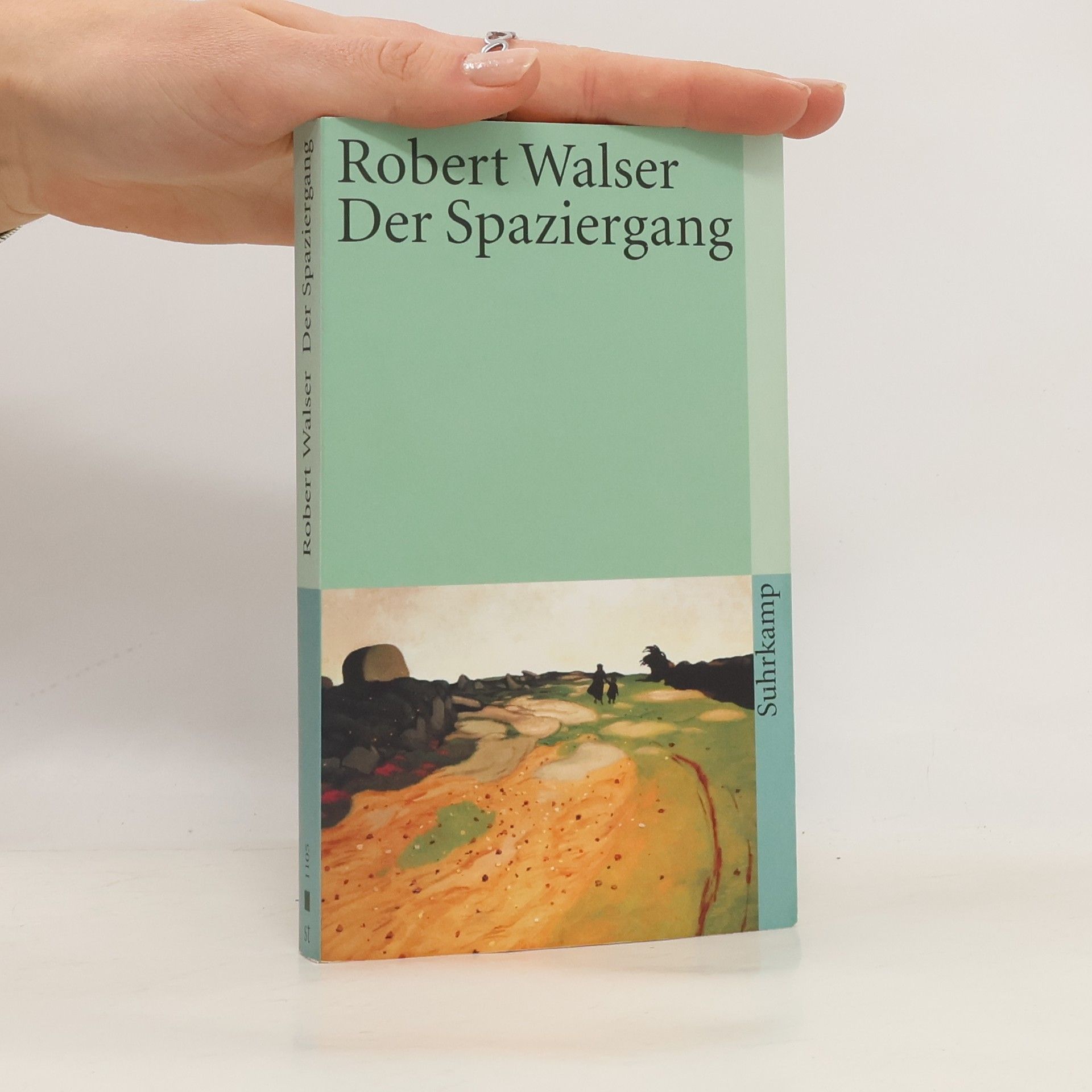 Robert Walser Der Spaziergang