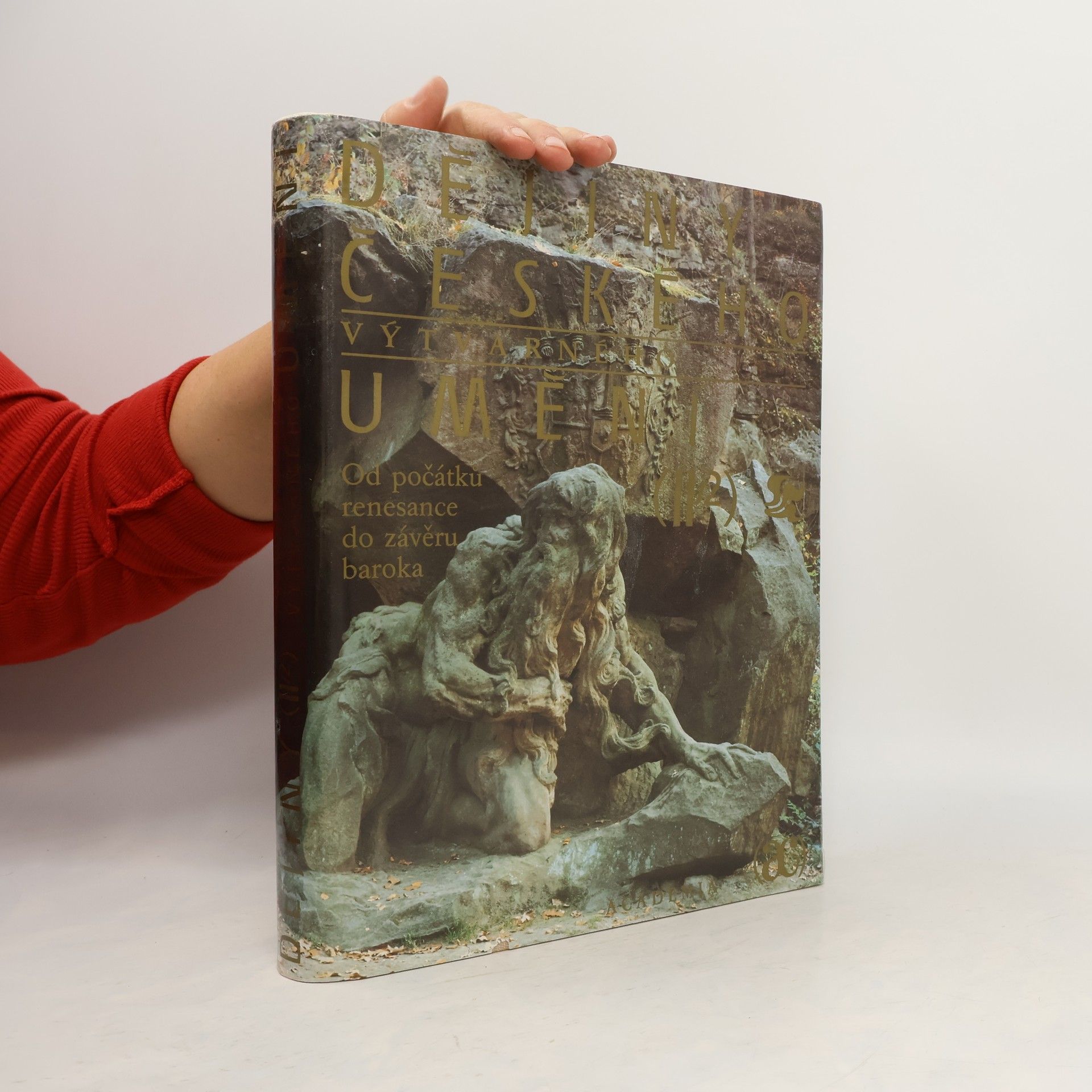 Dějiny českého výtvarného umění II/2