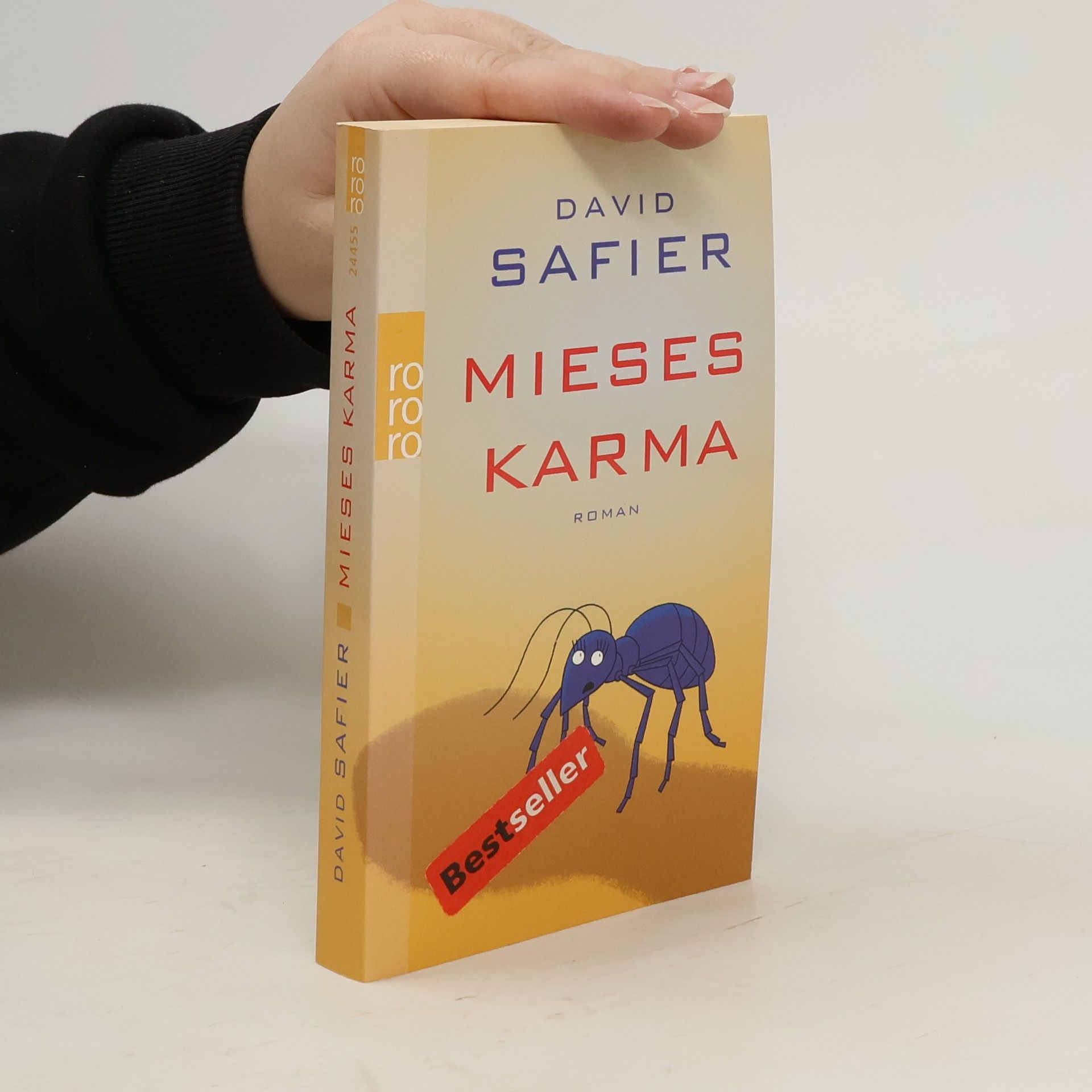David Safier Mieses Karma