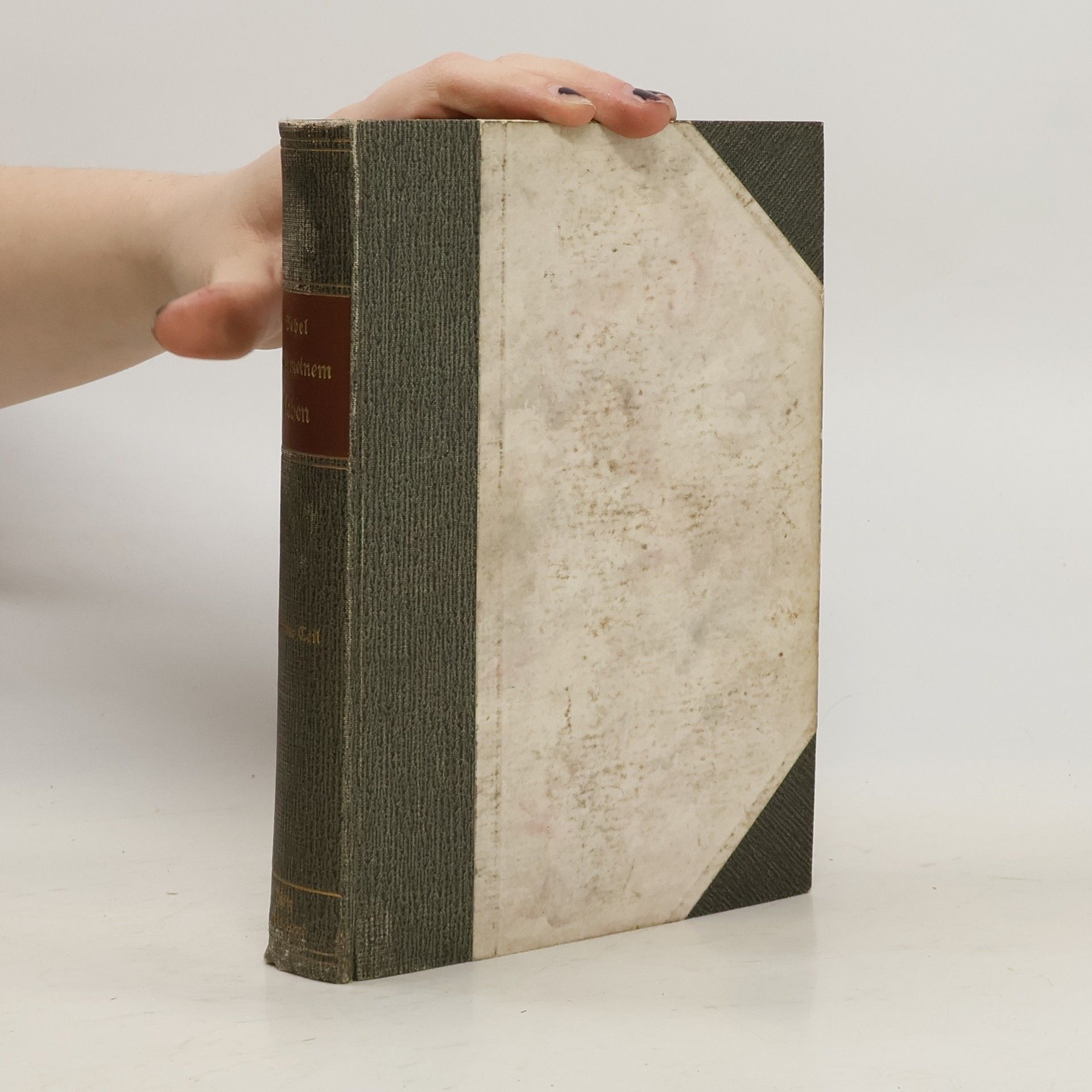 August Bebel Aus meinem Leben