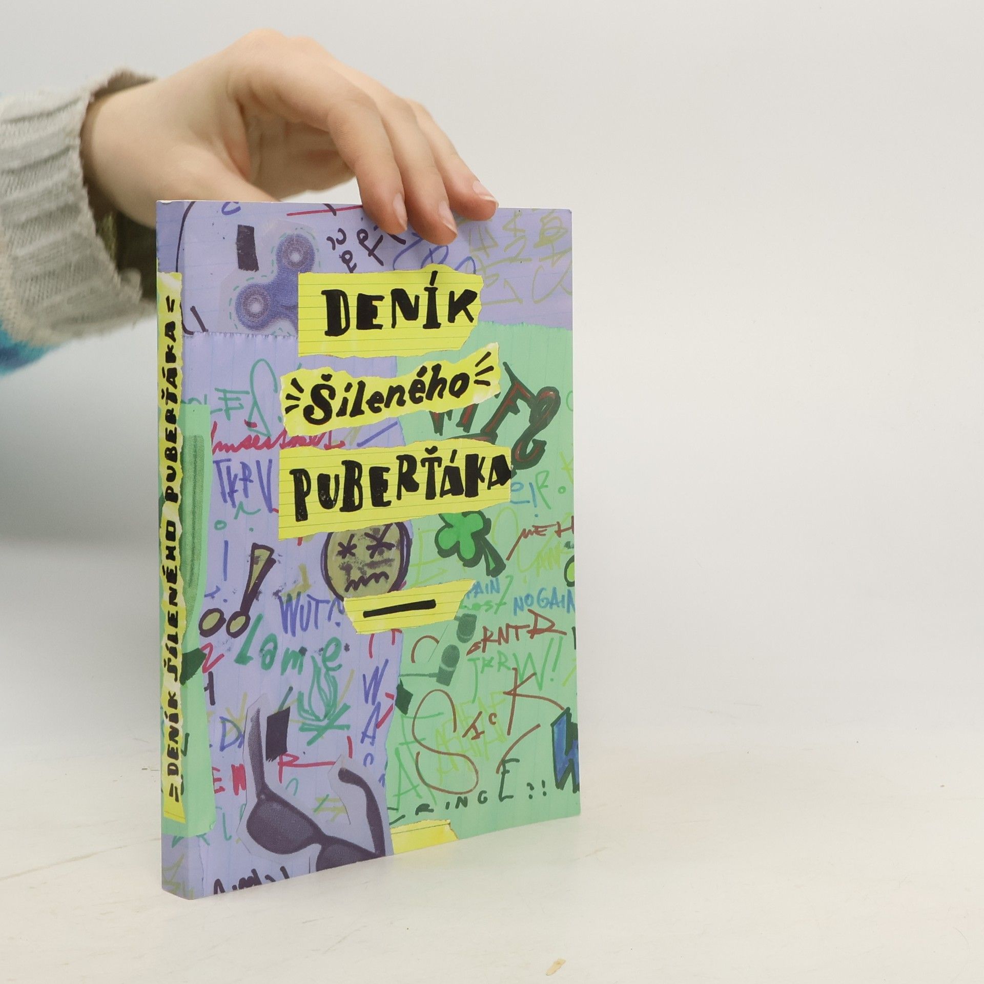 Marie Hohlová Deník šíleného puberťáka