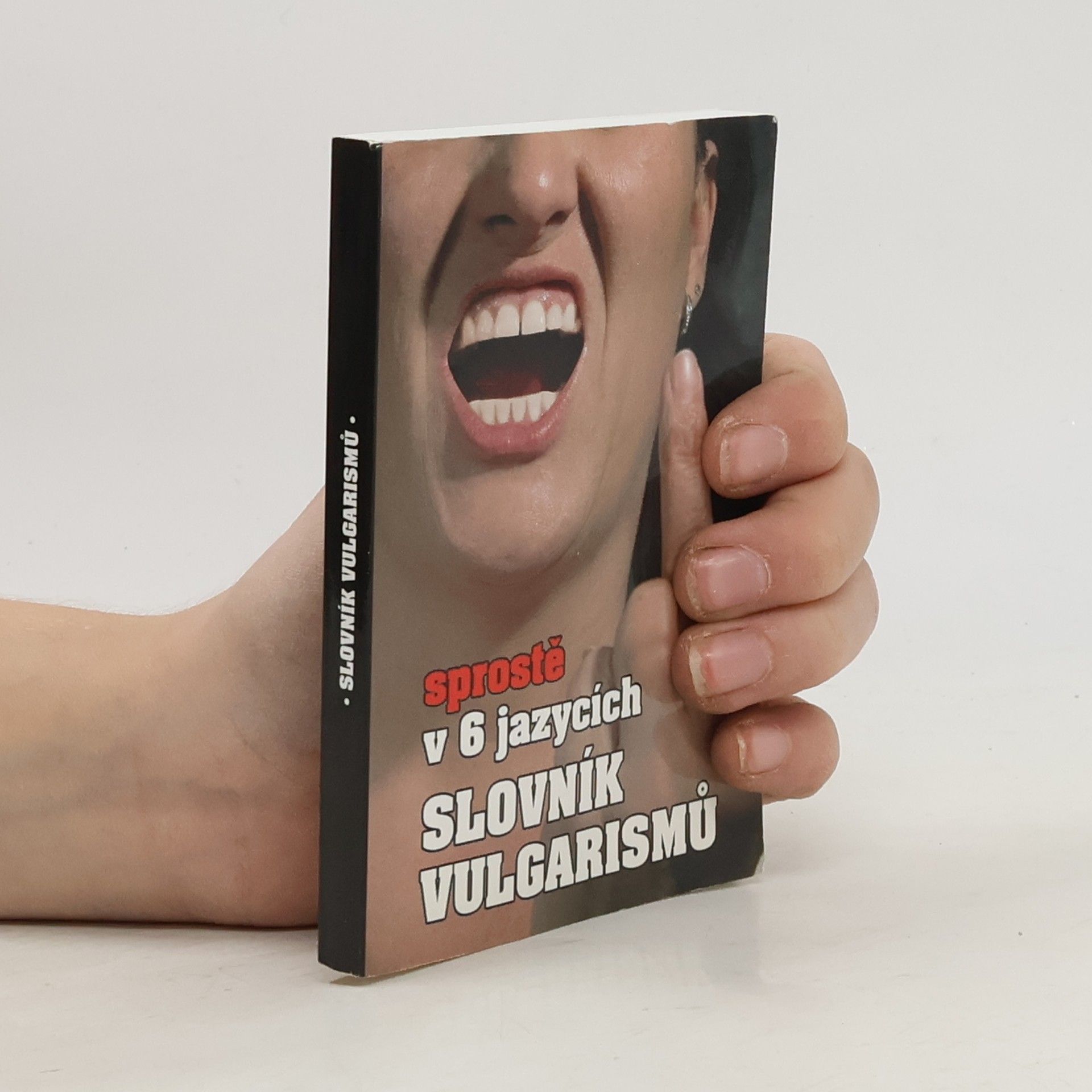 Kryštof Bajger Slovník vulgarismů : sprostě v 6 jazycích