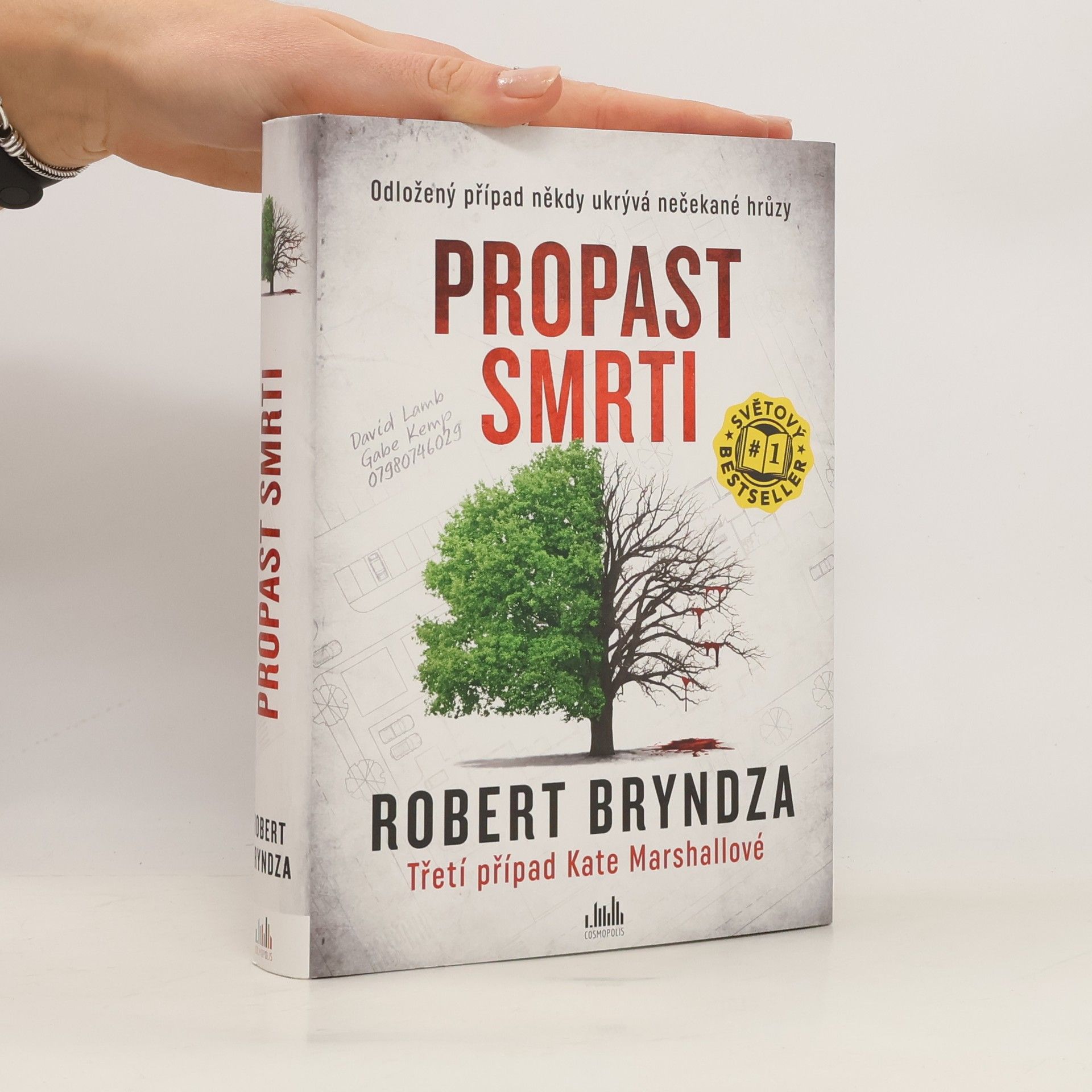 Robert Bryndza Propast smrti