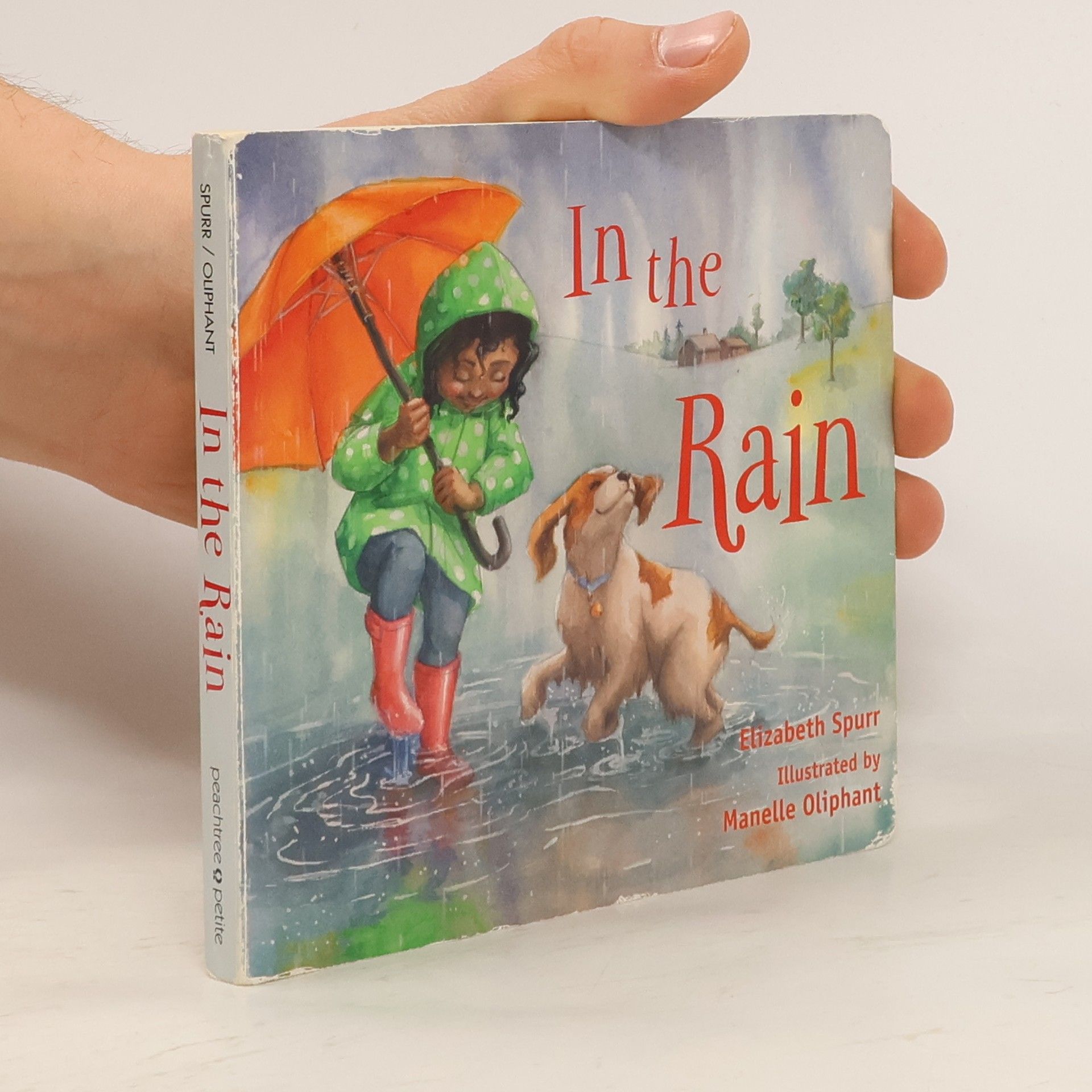 Elizabeth Spurr In the Rain