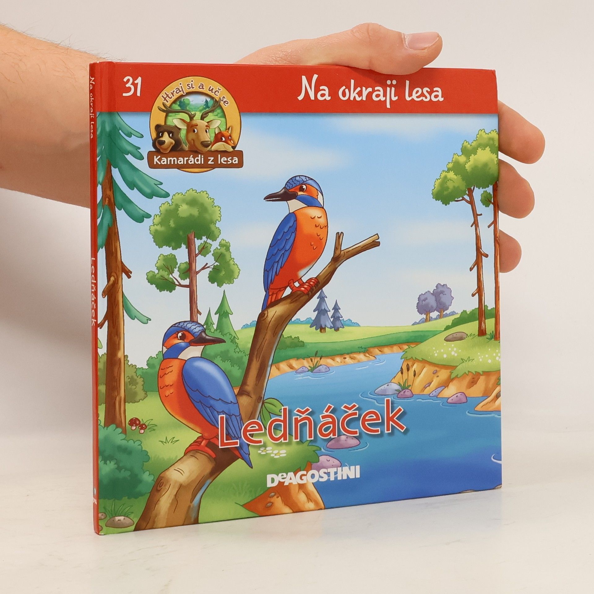 Collectif d'auteurs Ledňáček. Na okraji lesa 31