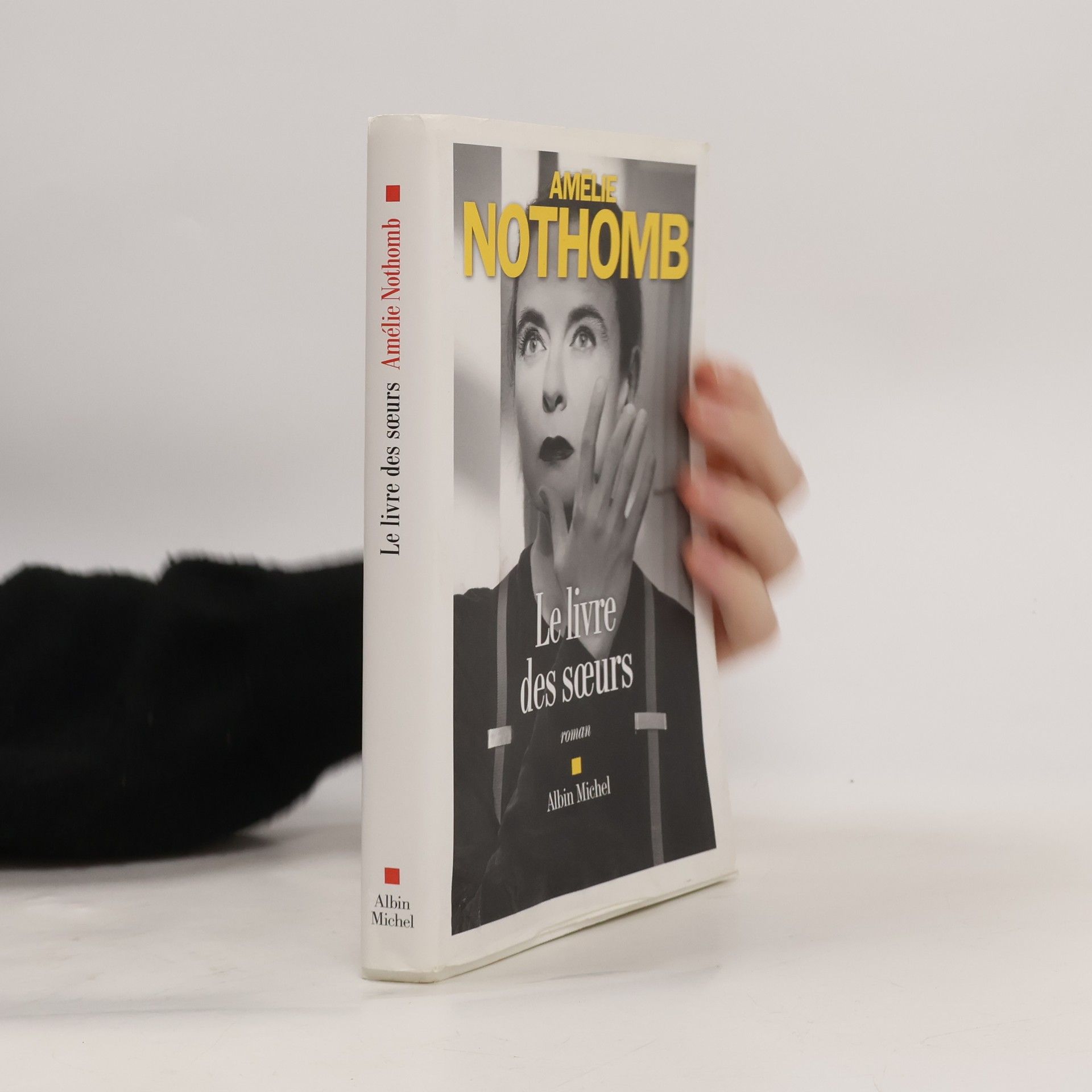 Amélie Nothomb Le Livre des soeurs