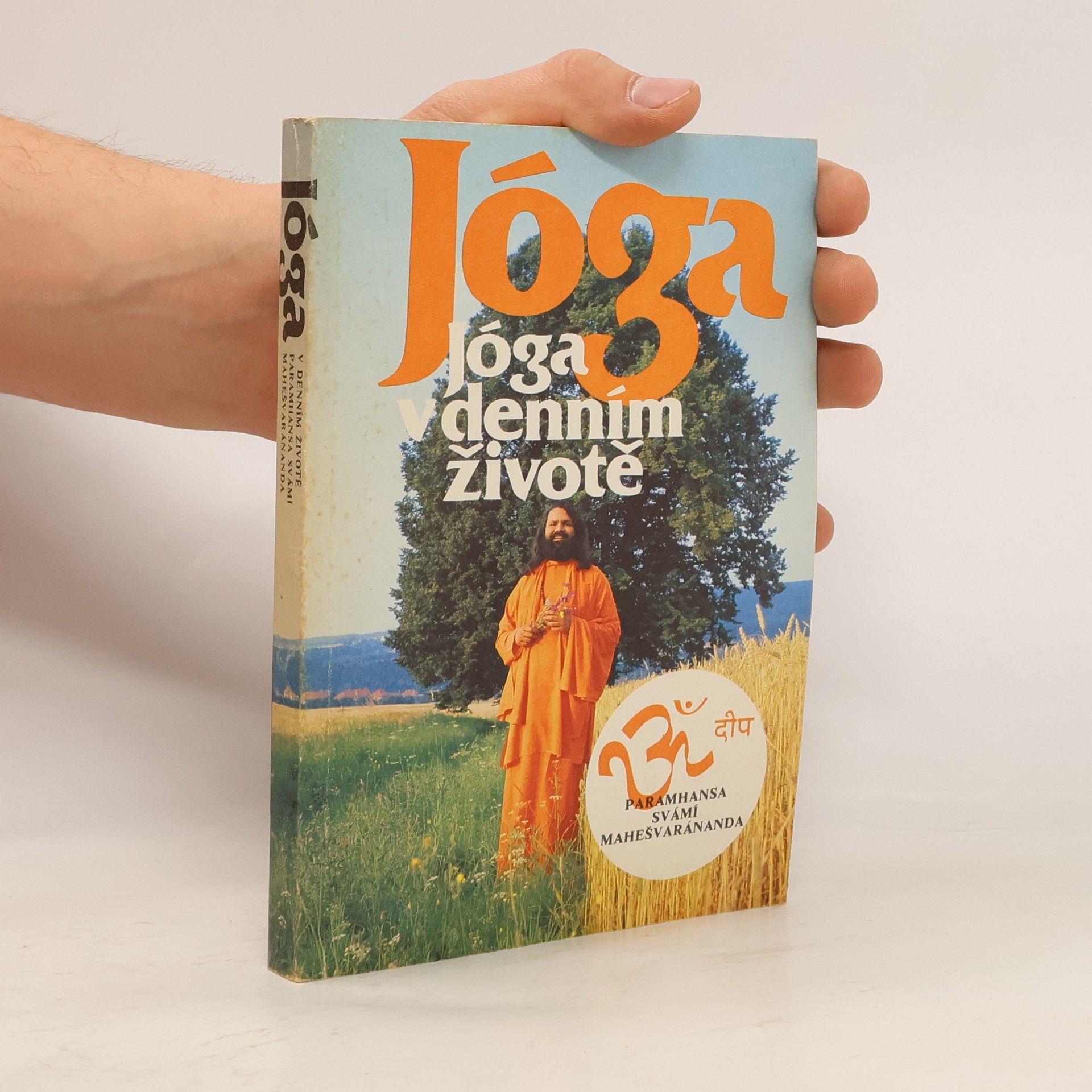 Paramhans Swami Maheshwarananda Jóga v denním životě