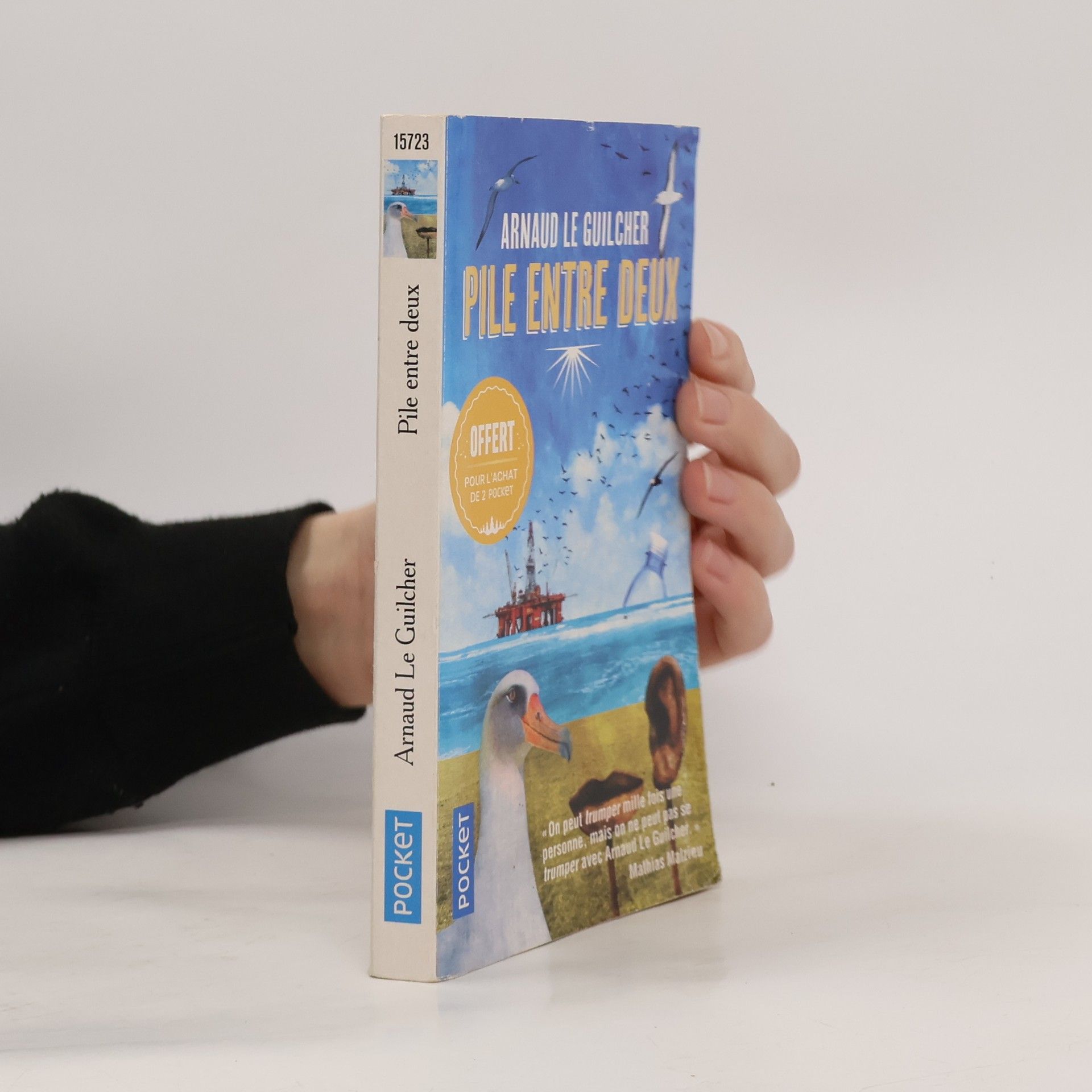 Arnaud Le Guilcher Pile entre deux