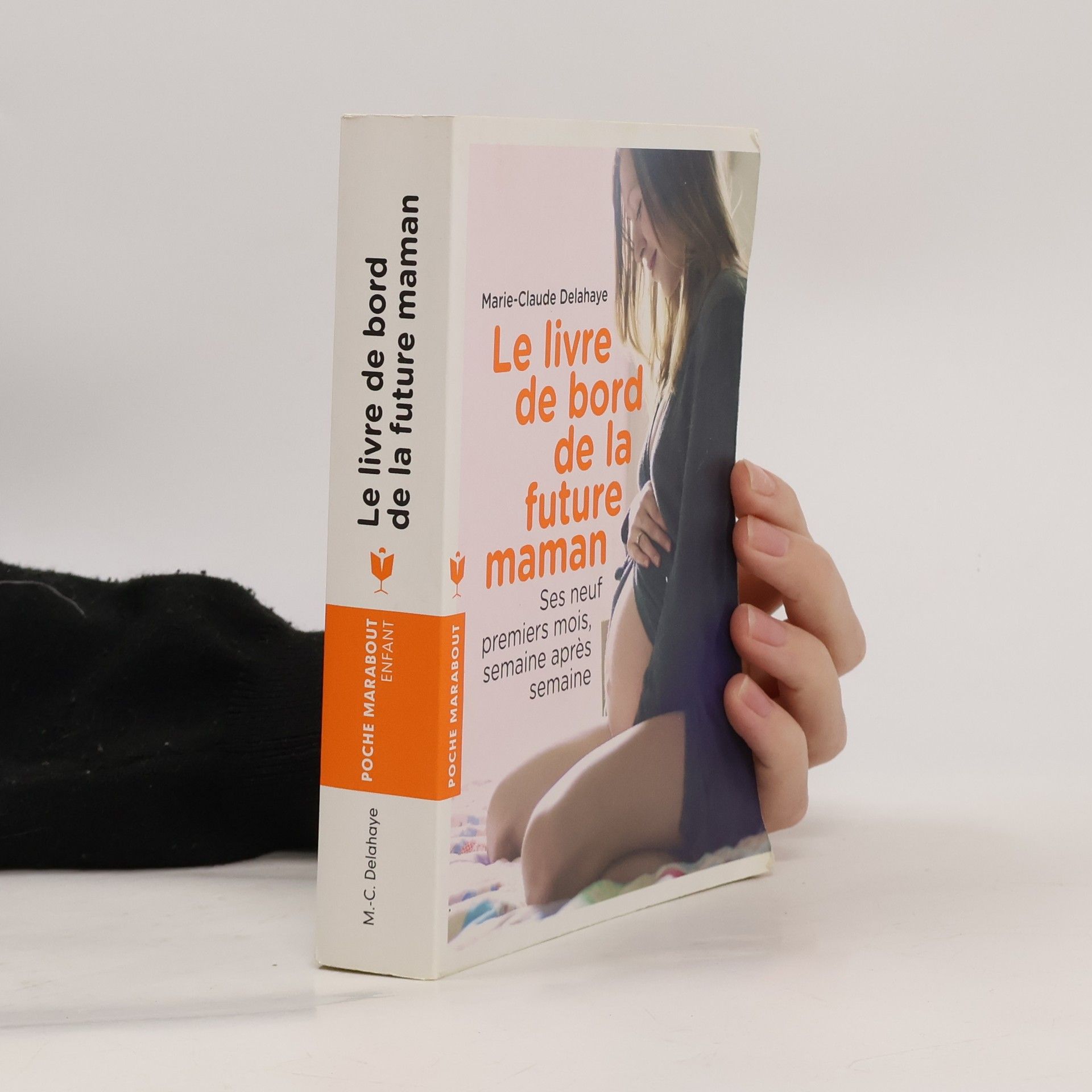 Le livre de bord de la future maman