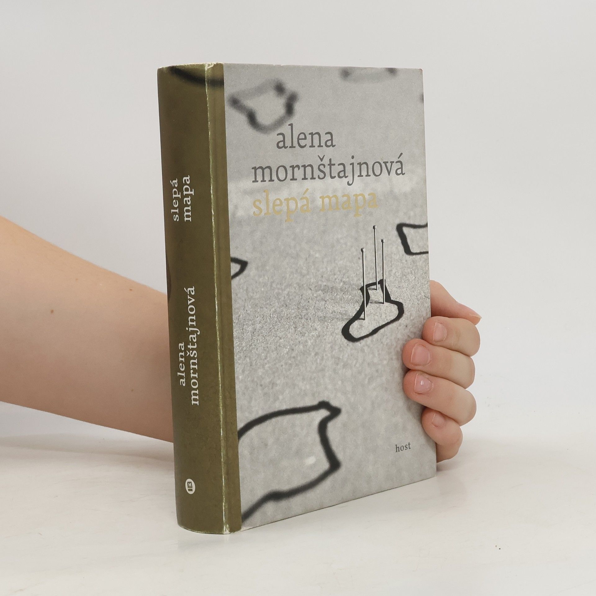 Alena Mornštajnová Slepá mapa
