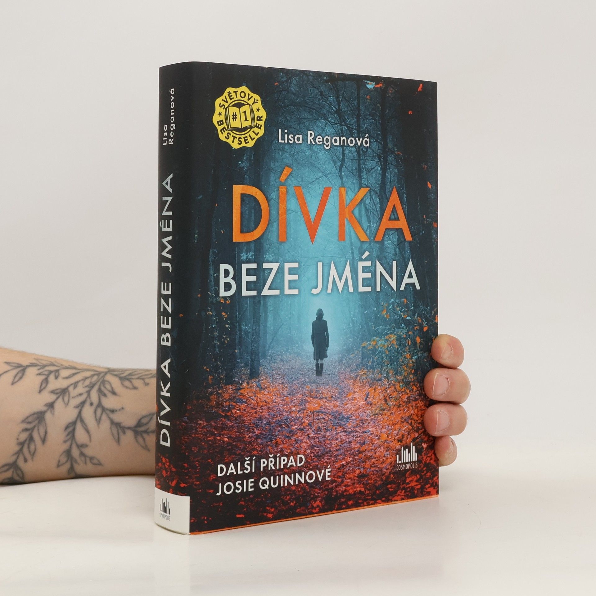 Lisa Regan Dívka beze jména: Další případ Josie Quinnové