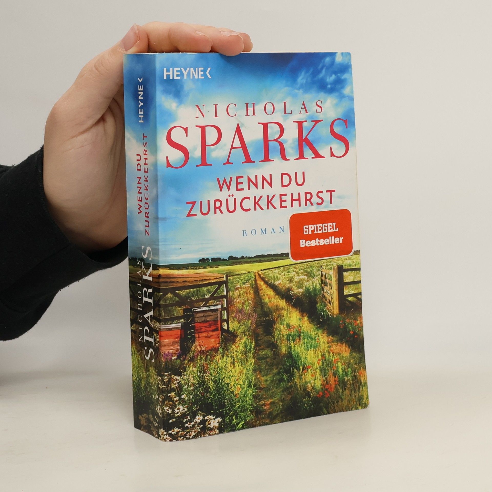 Nicholas Sparks Wenn du zurückkehrst