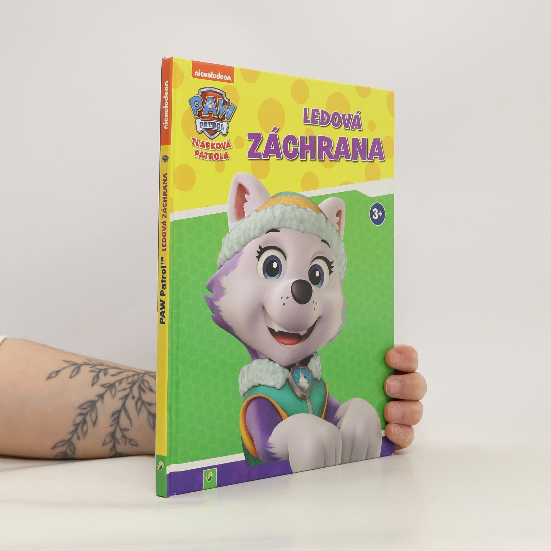 Kolektiv autorů Tlapková patrola. Ledová záchrana