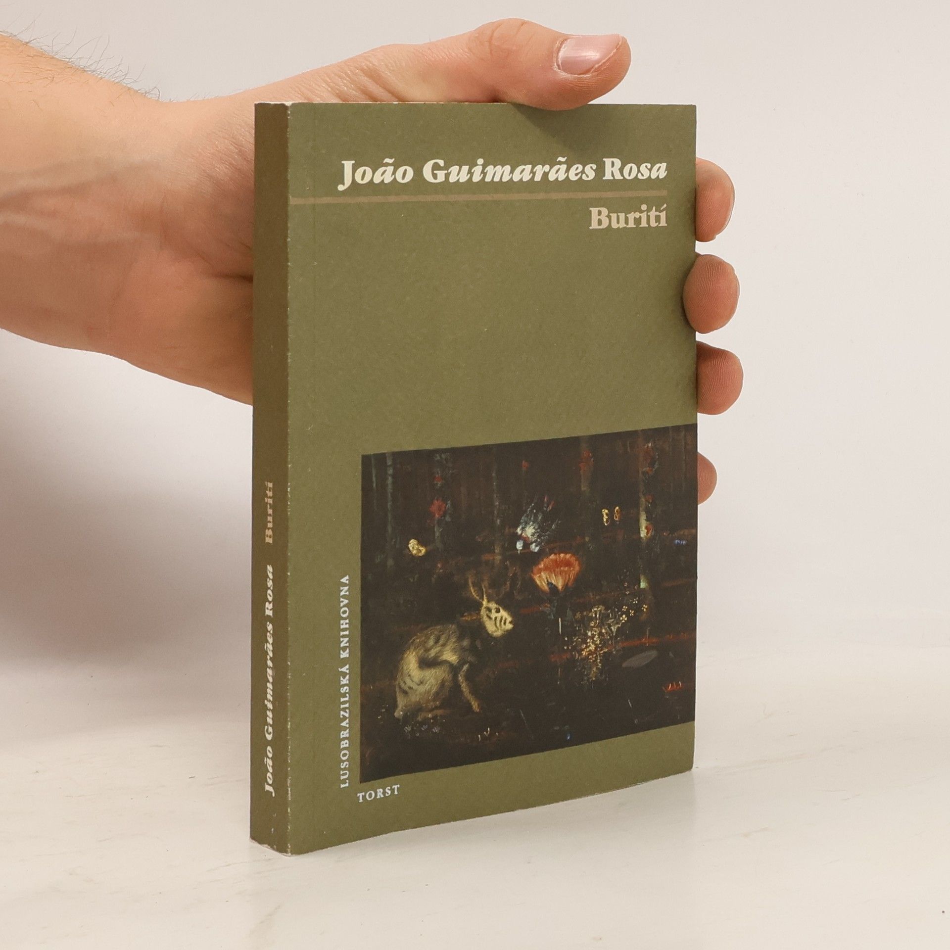 Guimarães Rosa Burití