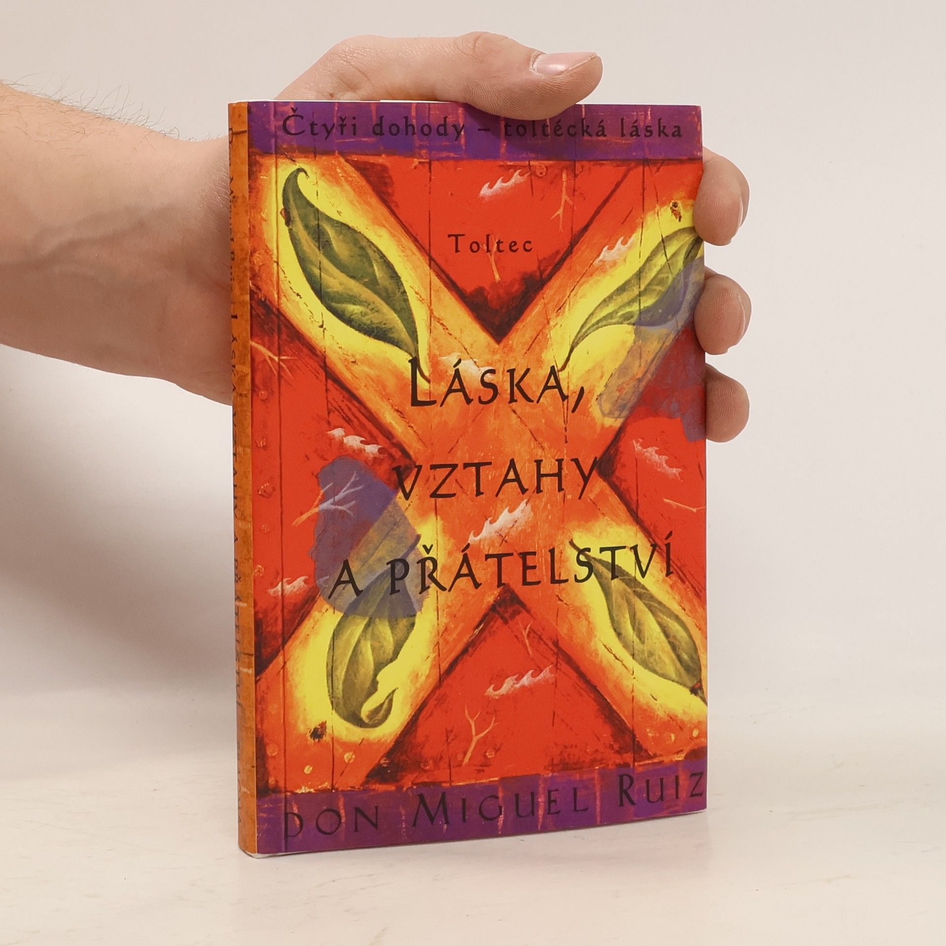 Don Miguel Ruiz Láska, vztahy a přátelství