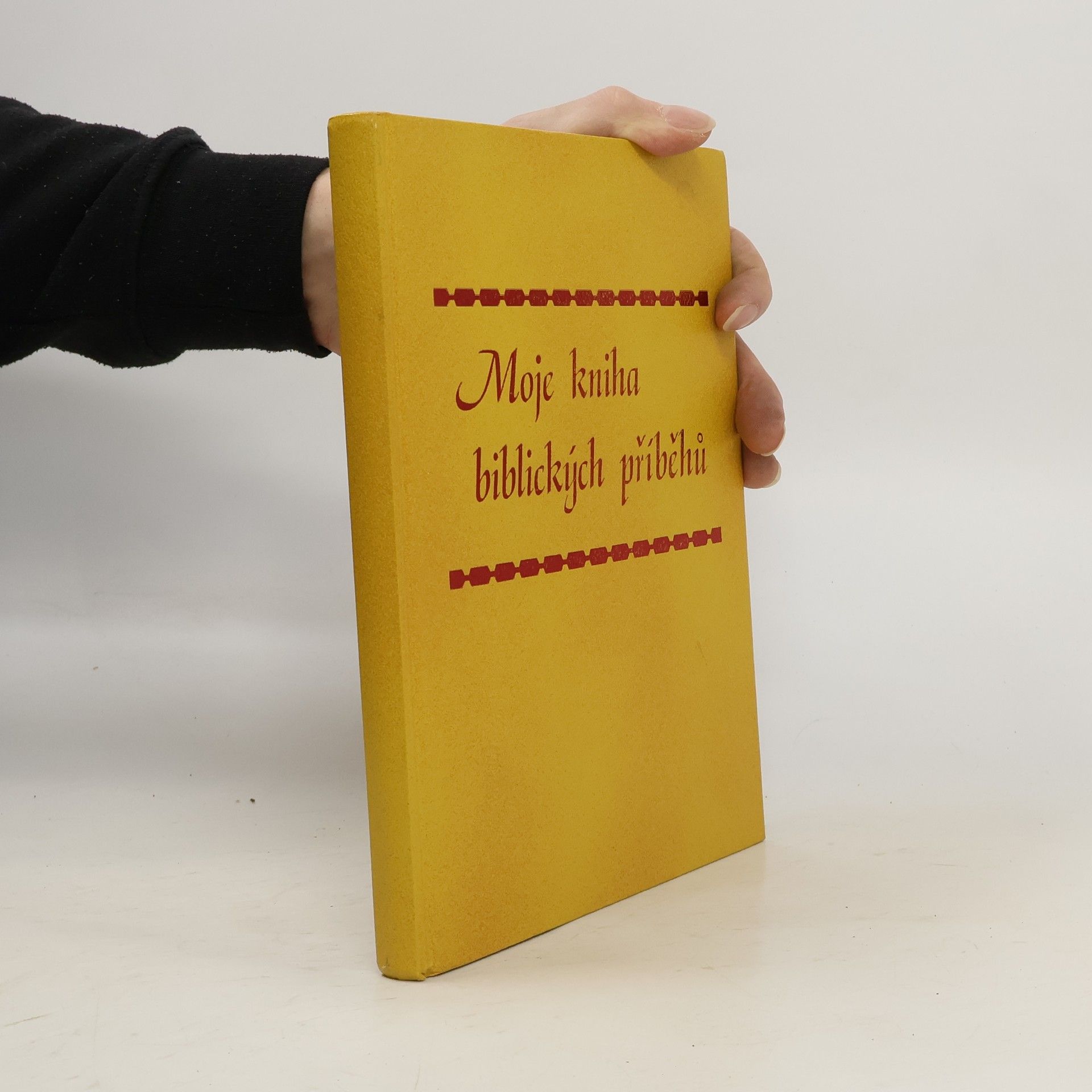 Kolektiv autorů Moje kniha biblických příběhů