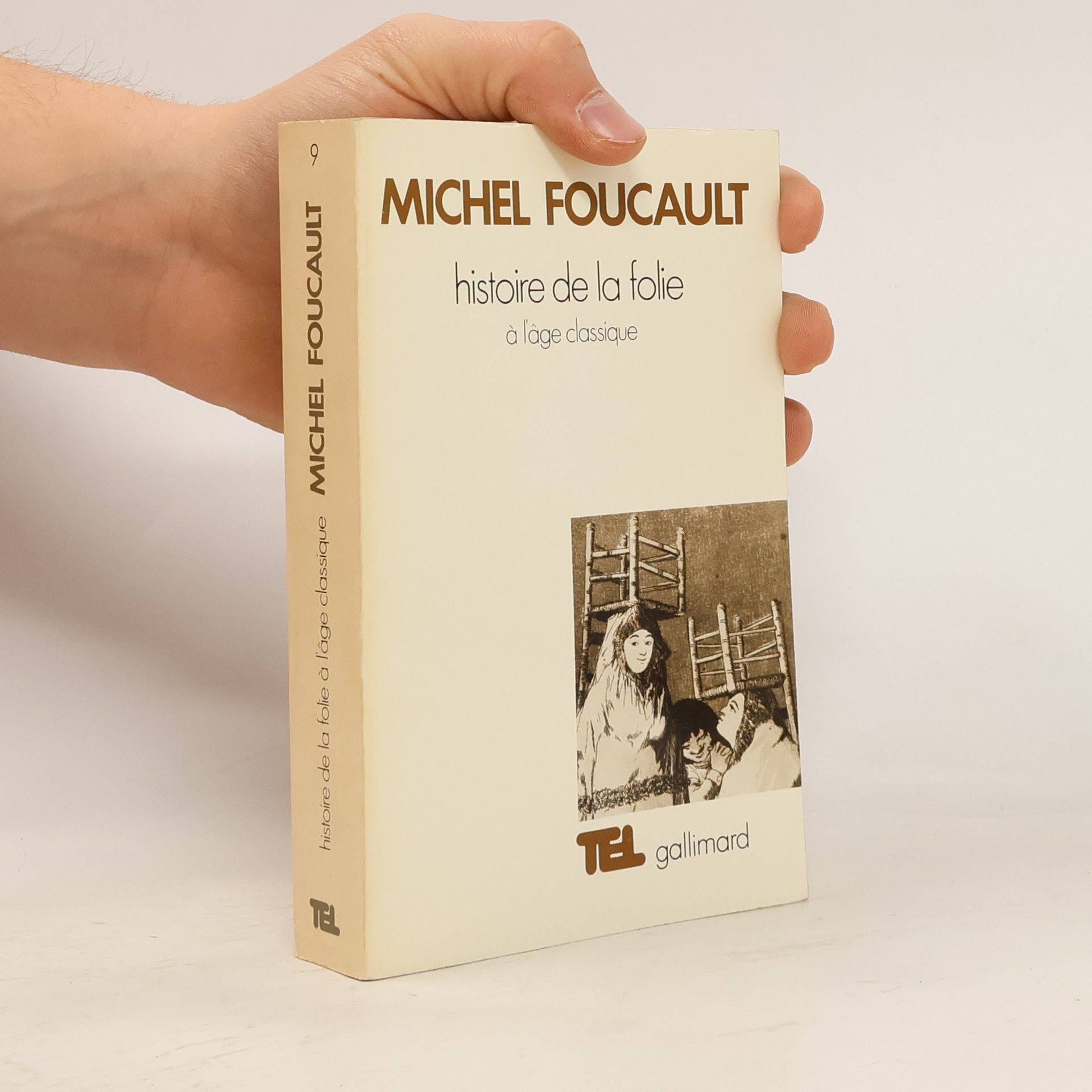 Michel Foucault Histoire de la folie à l'âge classique
