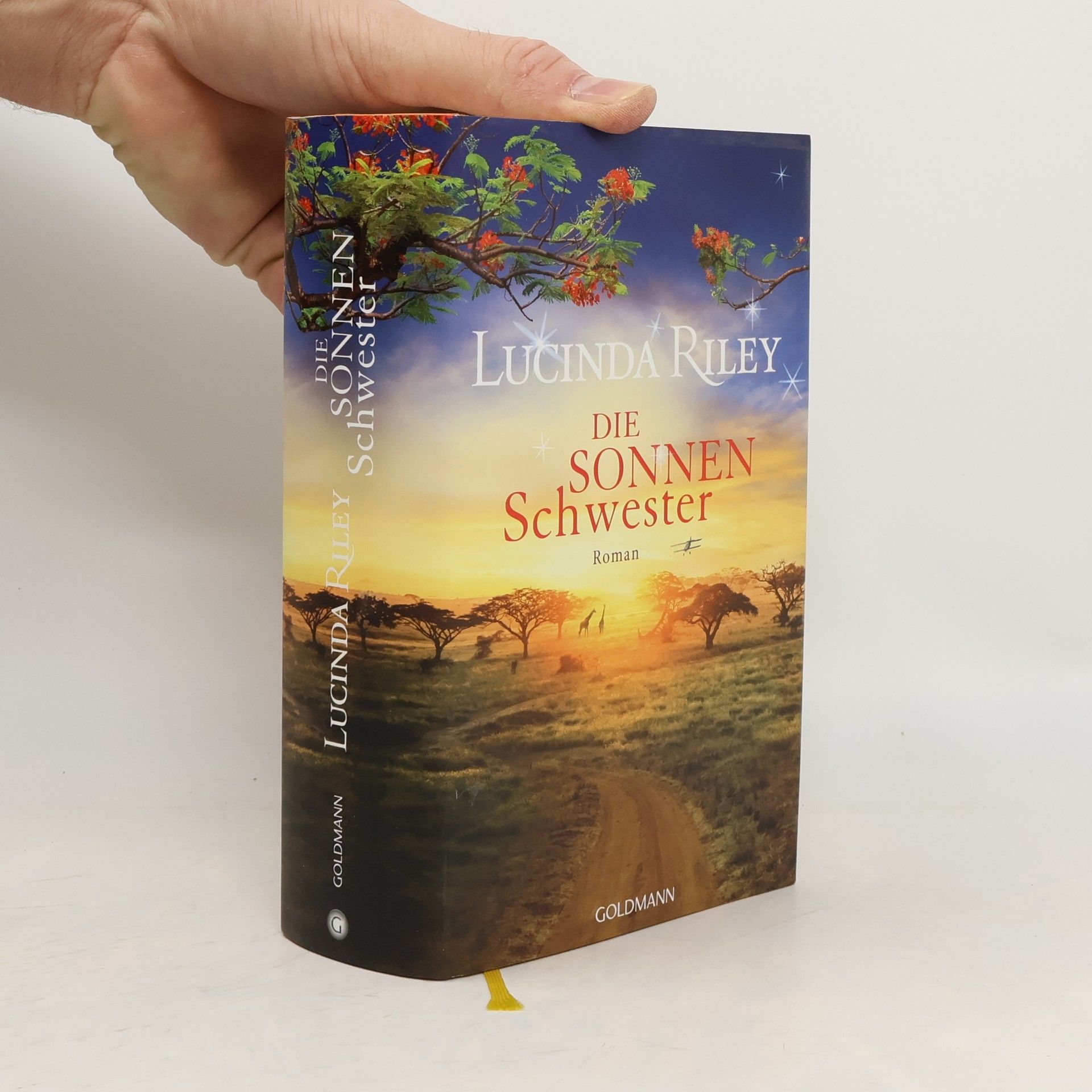 Lucinda Riley Die Sonnenschwester