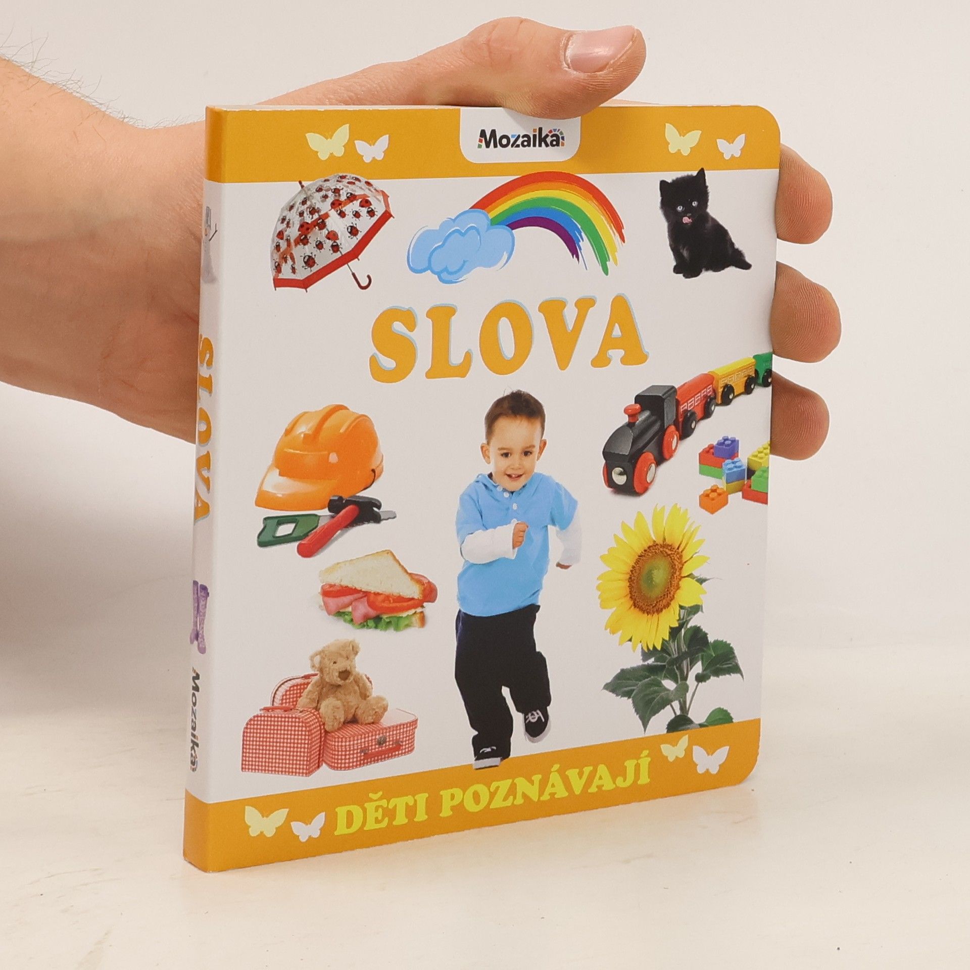 Kolektiv autorů Děti poznávají slova