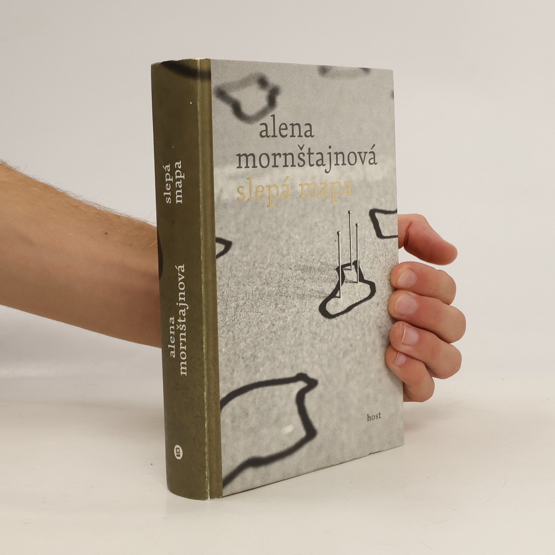 Alena Mornštajnová Slepá mapa