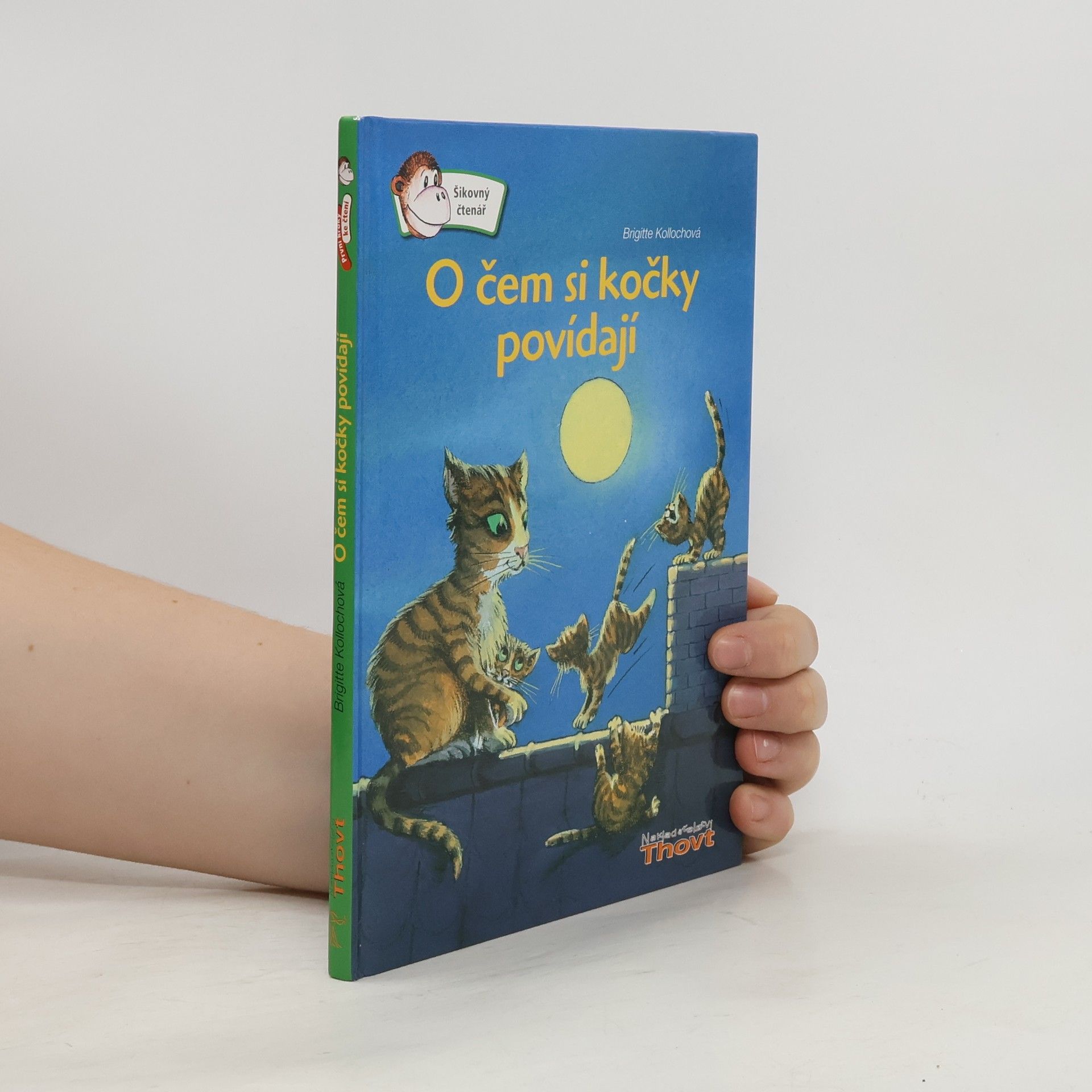 O čem si kočky povídají?