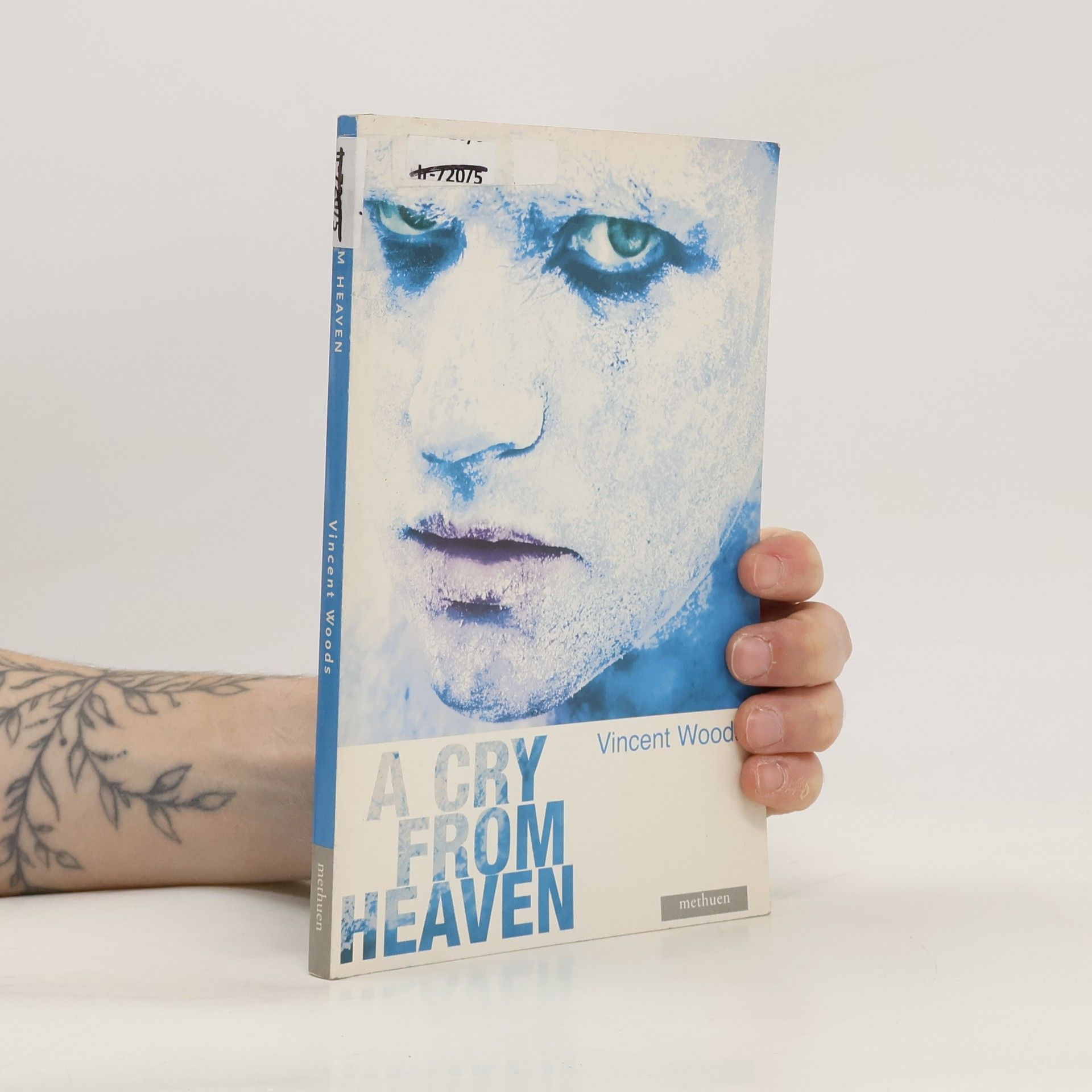 Vincent Woods A Cry From Heaven