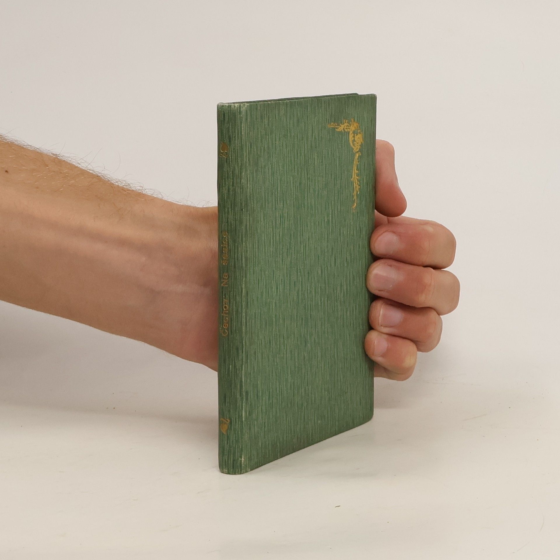 Anton Chekhov Na šestce