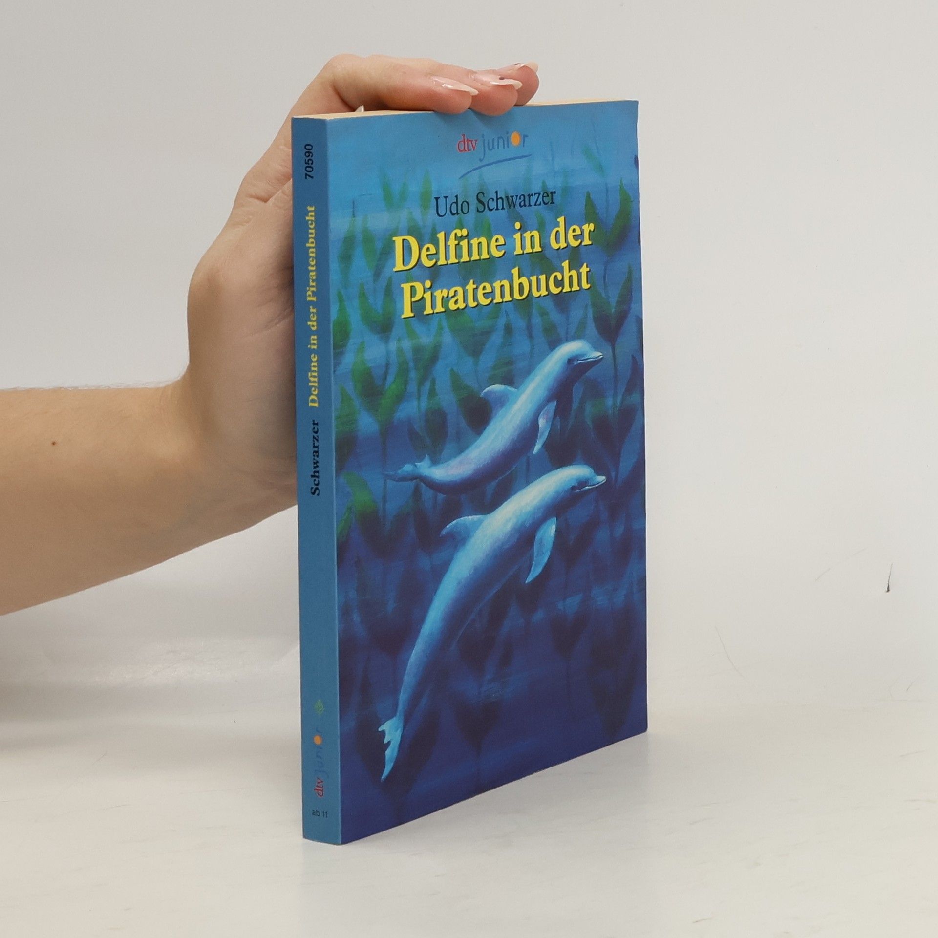 Udo Schwarzer Delfine in der Piratenbucht