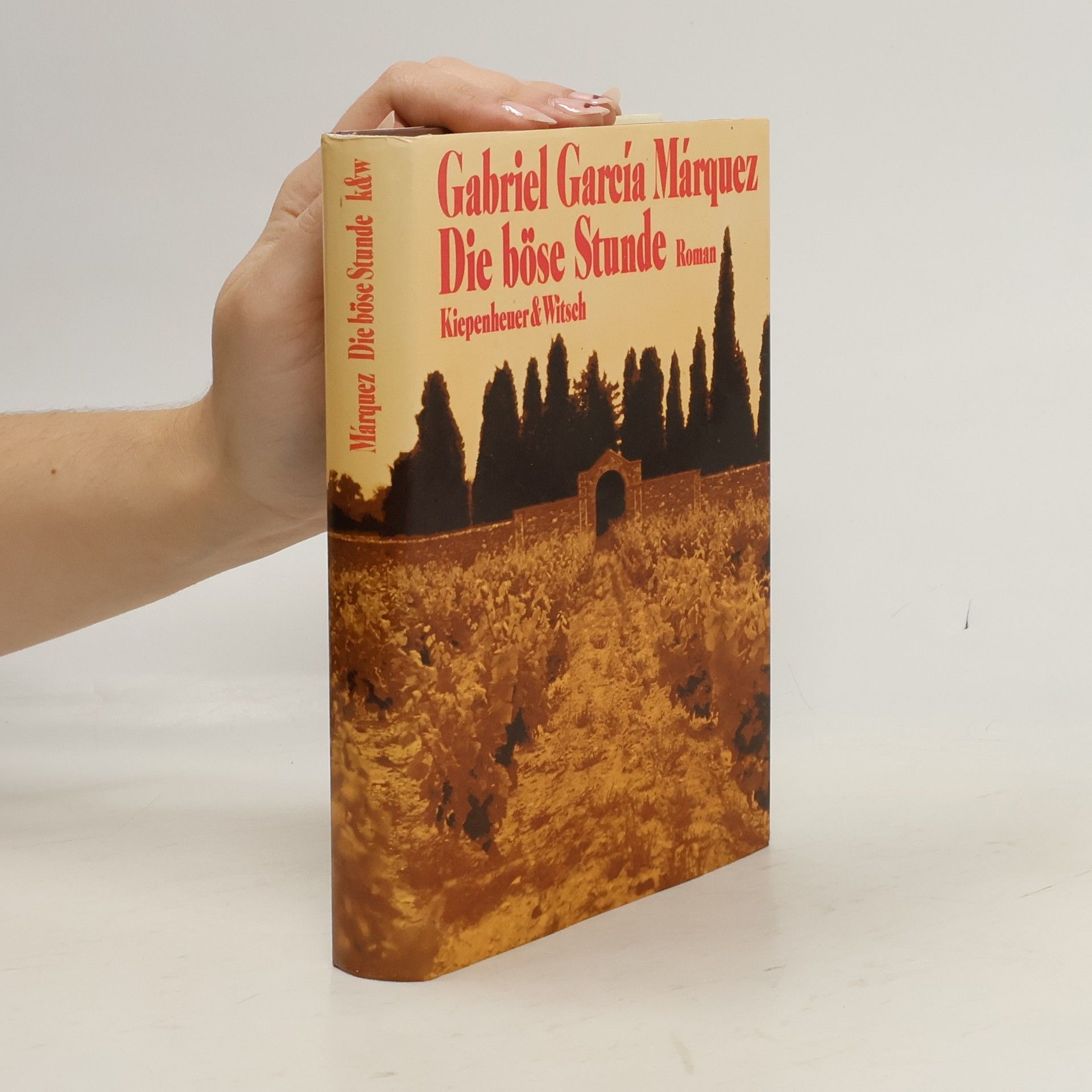 Gabriel García Márquez Die böse Stunde