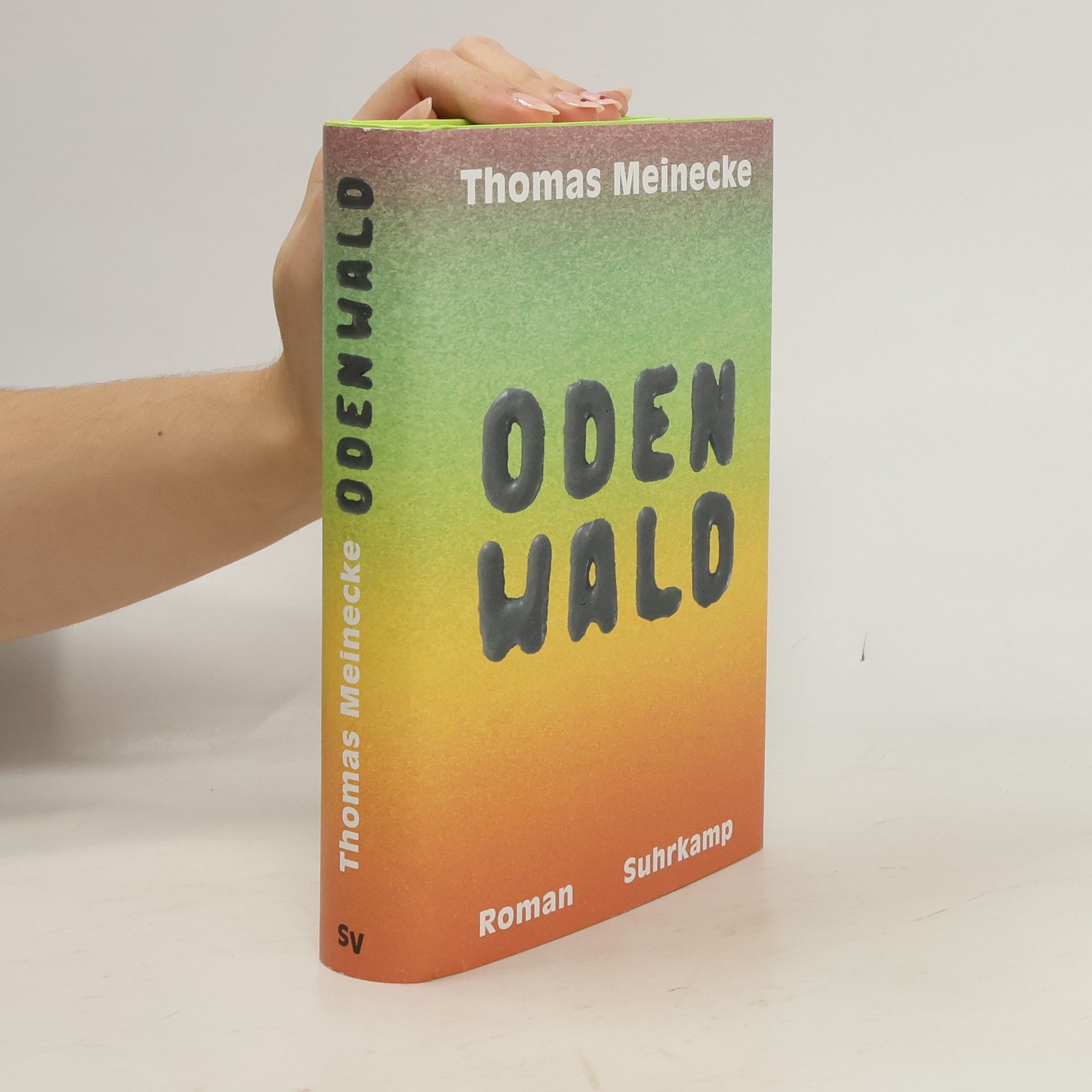 Thomas Meinecke Odenwald