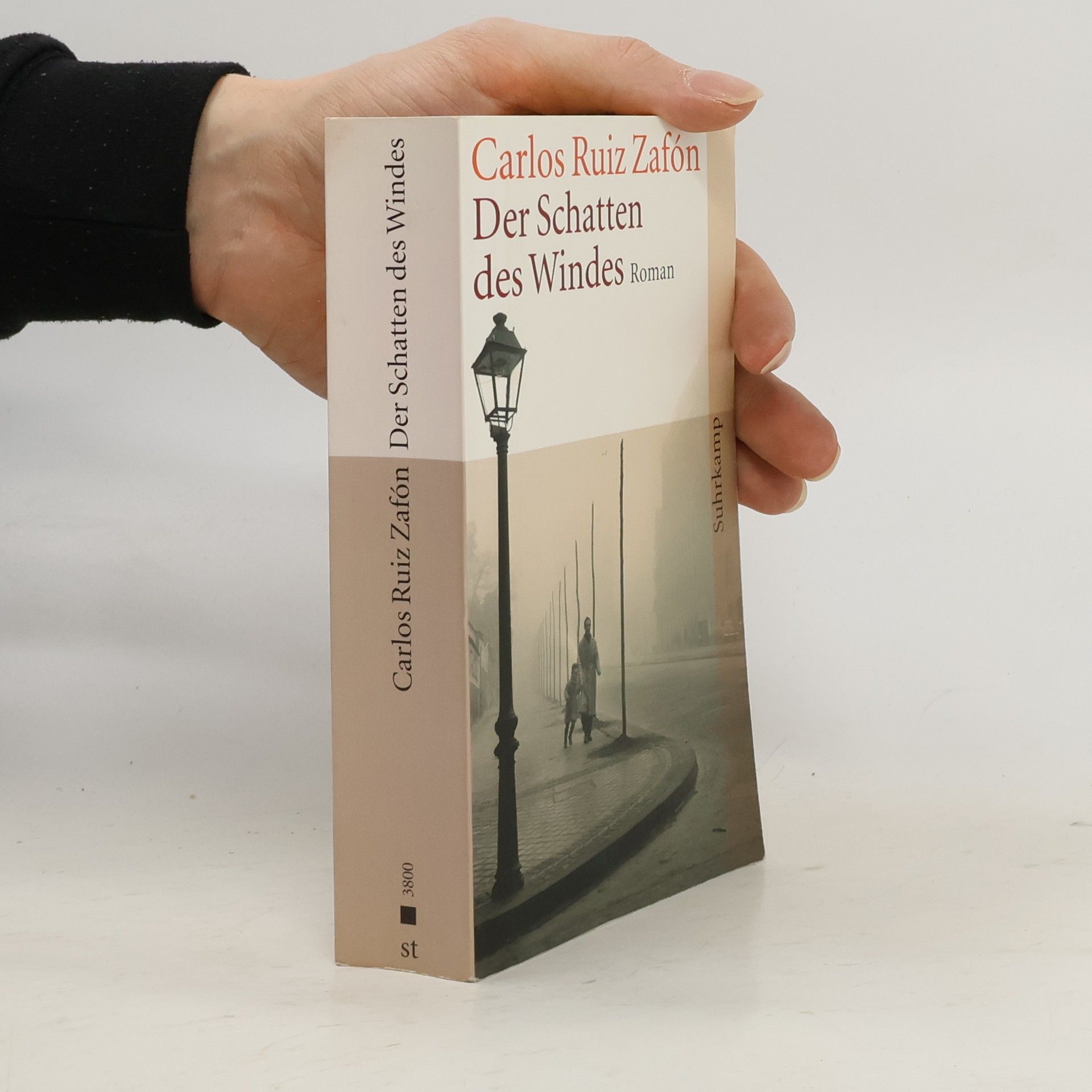 Carlos Ruiz Zafón Der Schatten des Windes