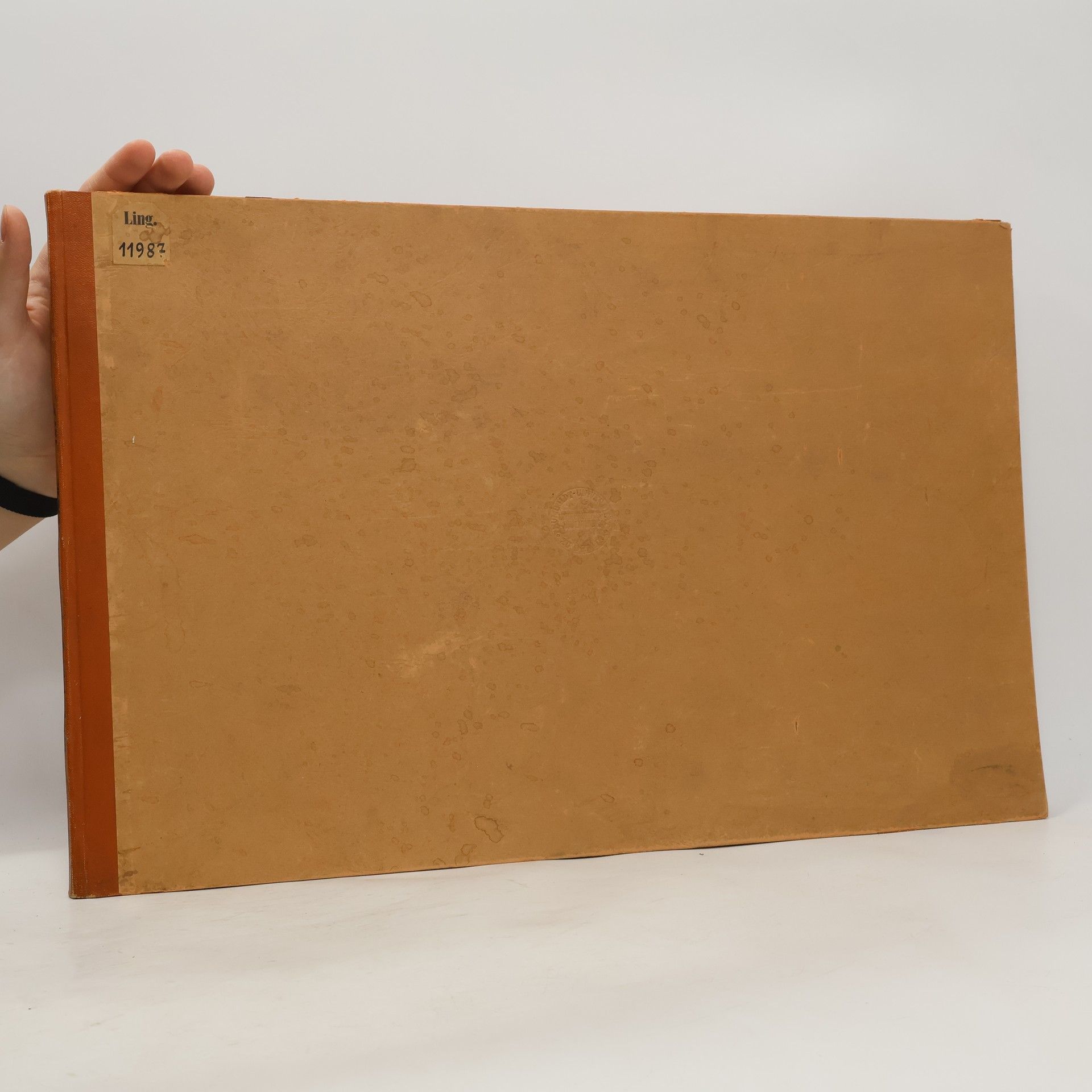 Rudolf Payer von Thurn Goethes Heimstätten