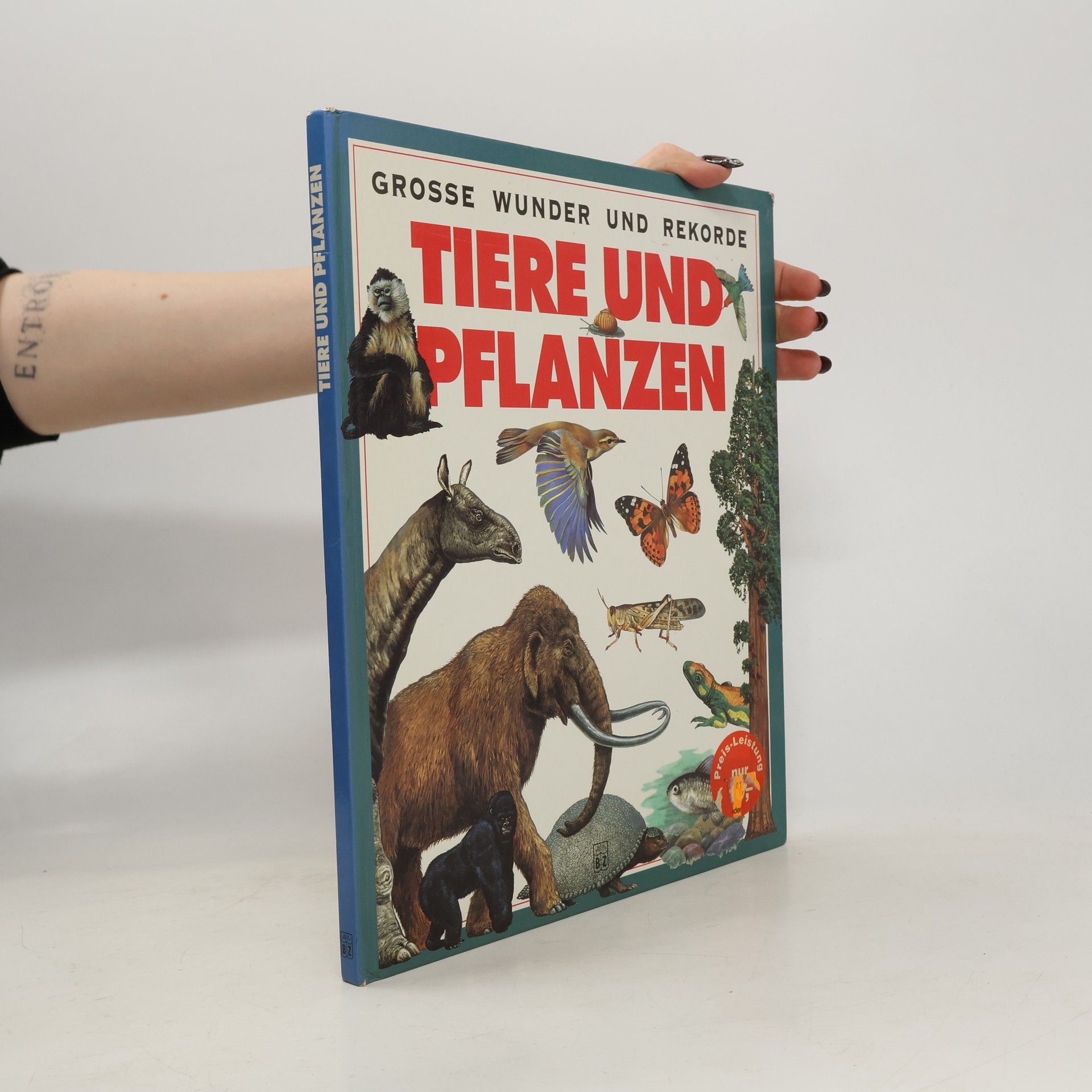 David Lambert Tiere und Pflanzen