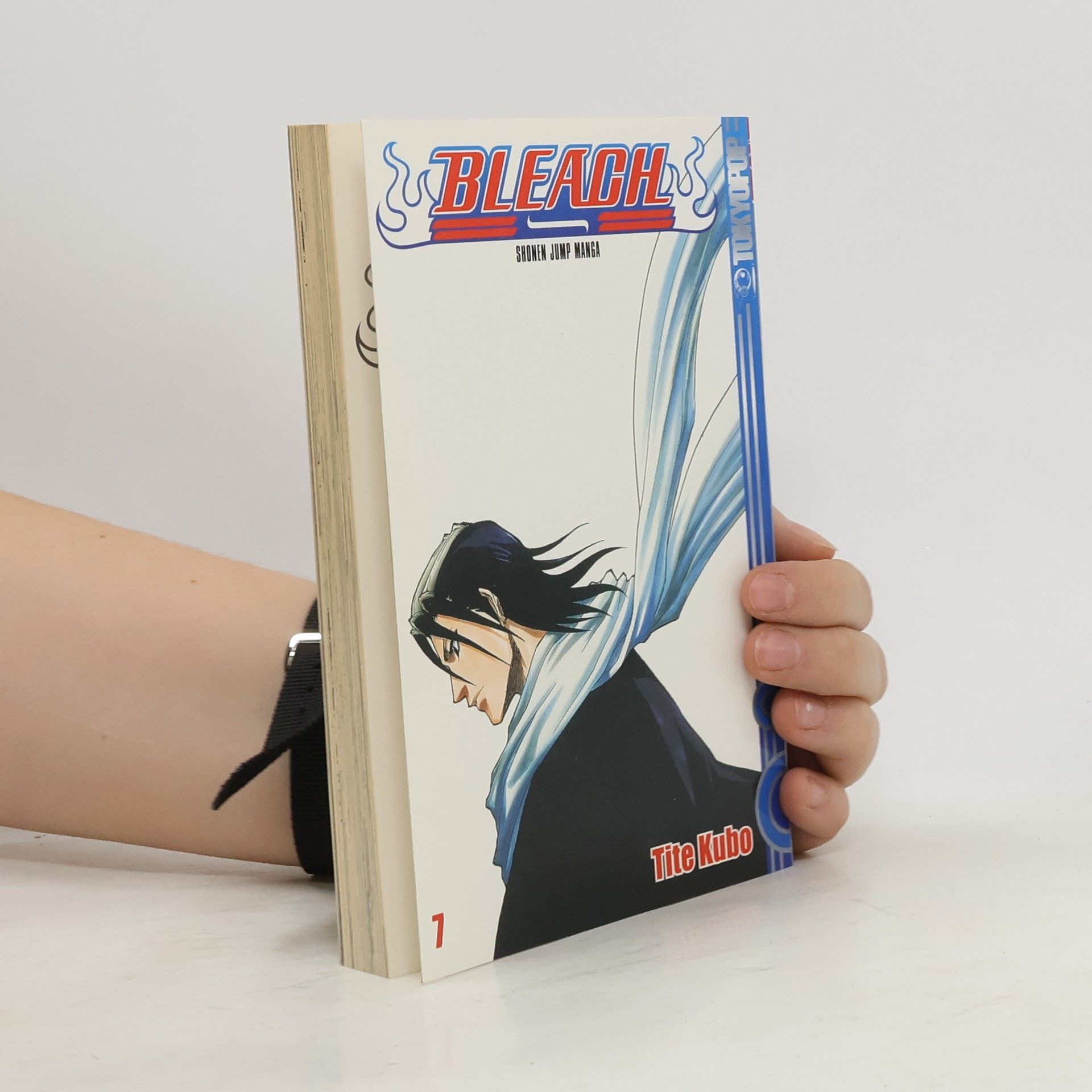 Tite Kubo Bleach - Die unterbrochene Coda