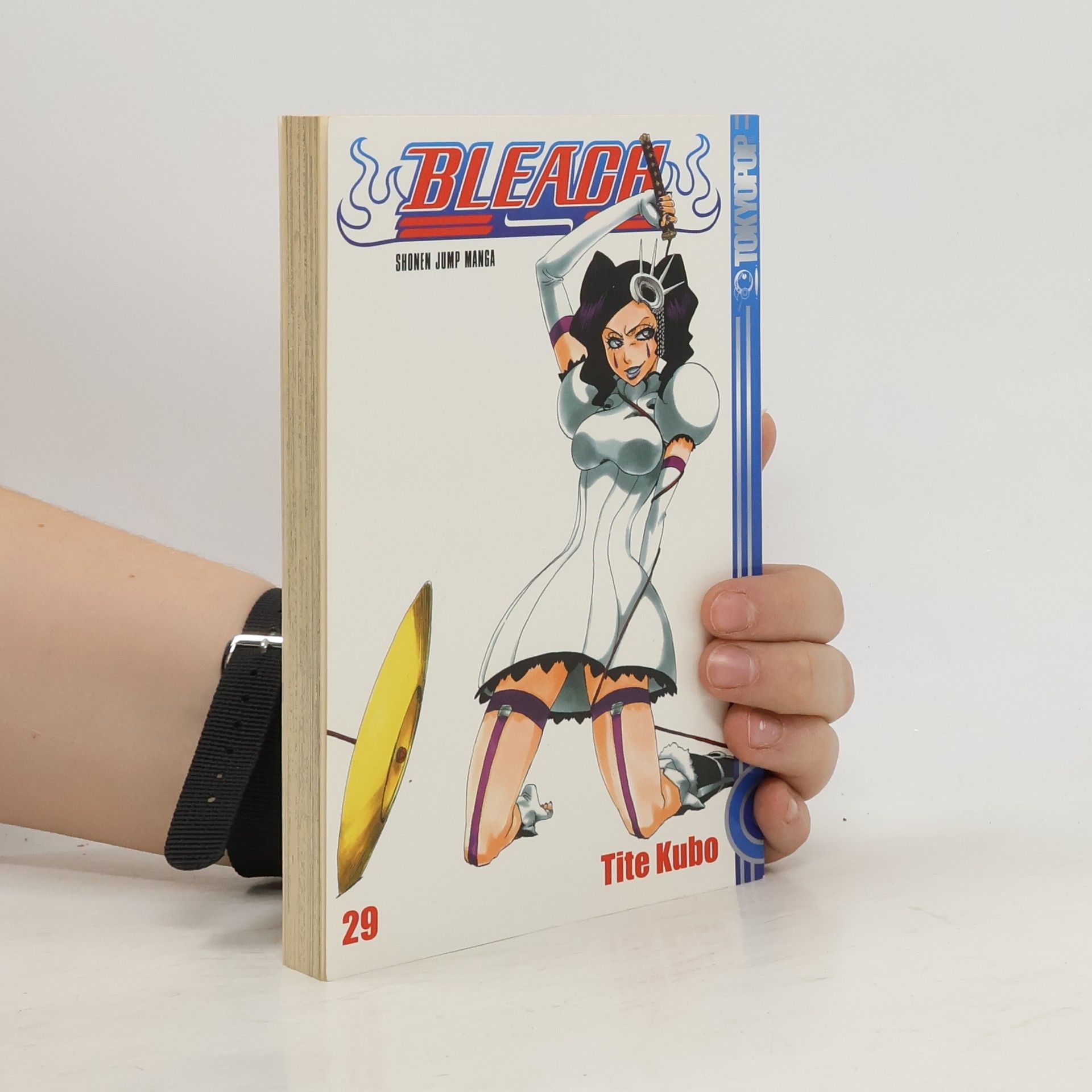 Tite Kubo Bleach 29