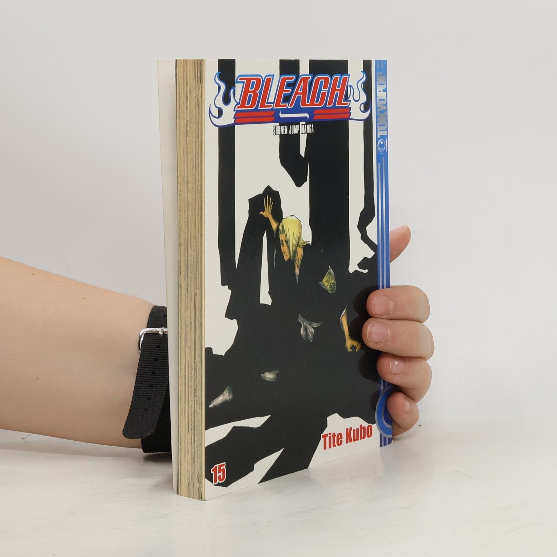 Tite Kubo Bleach 15