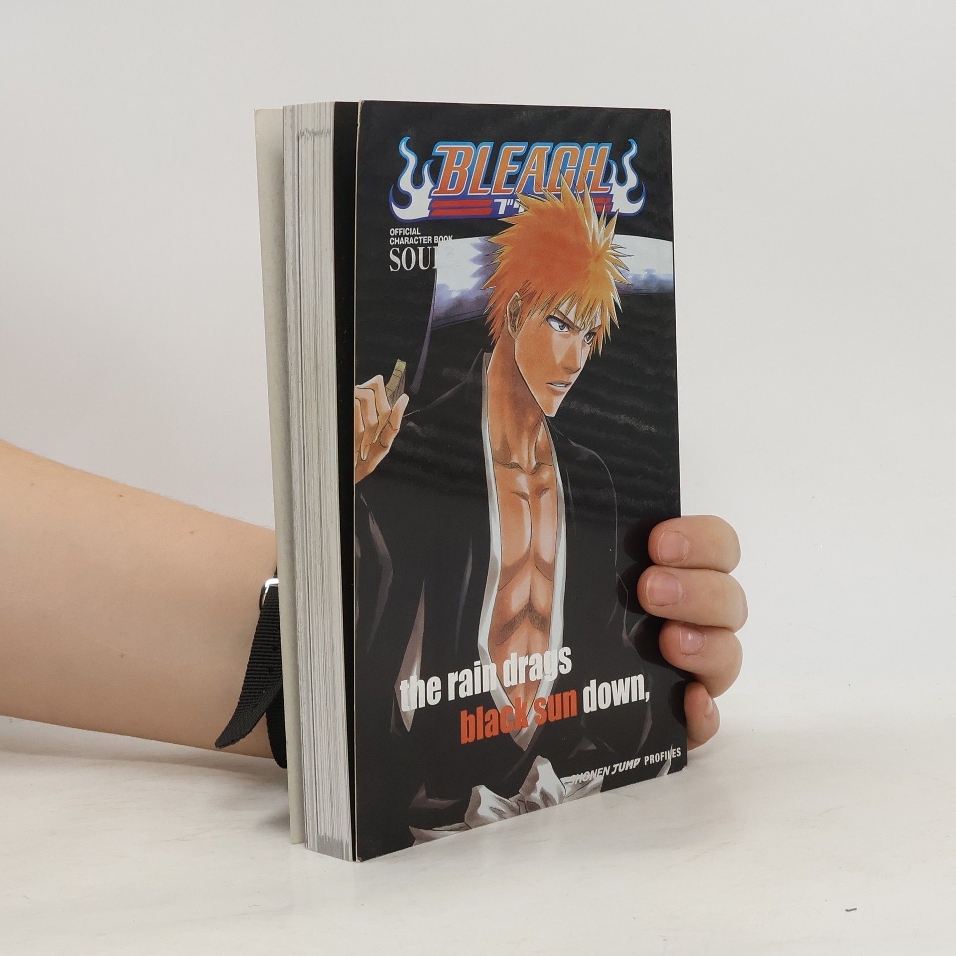 Tite Kubo Bleach SOULs. Official Character Book