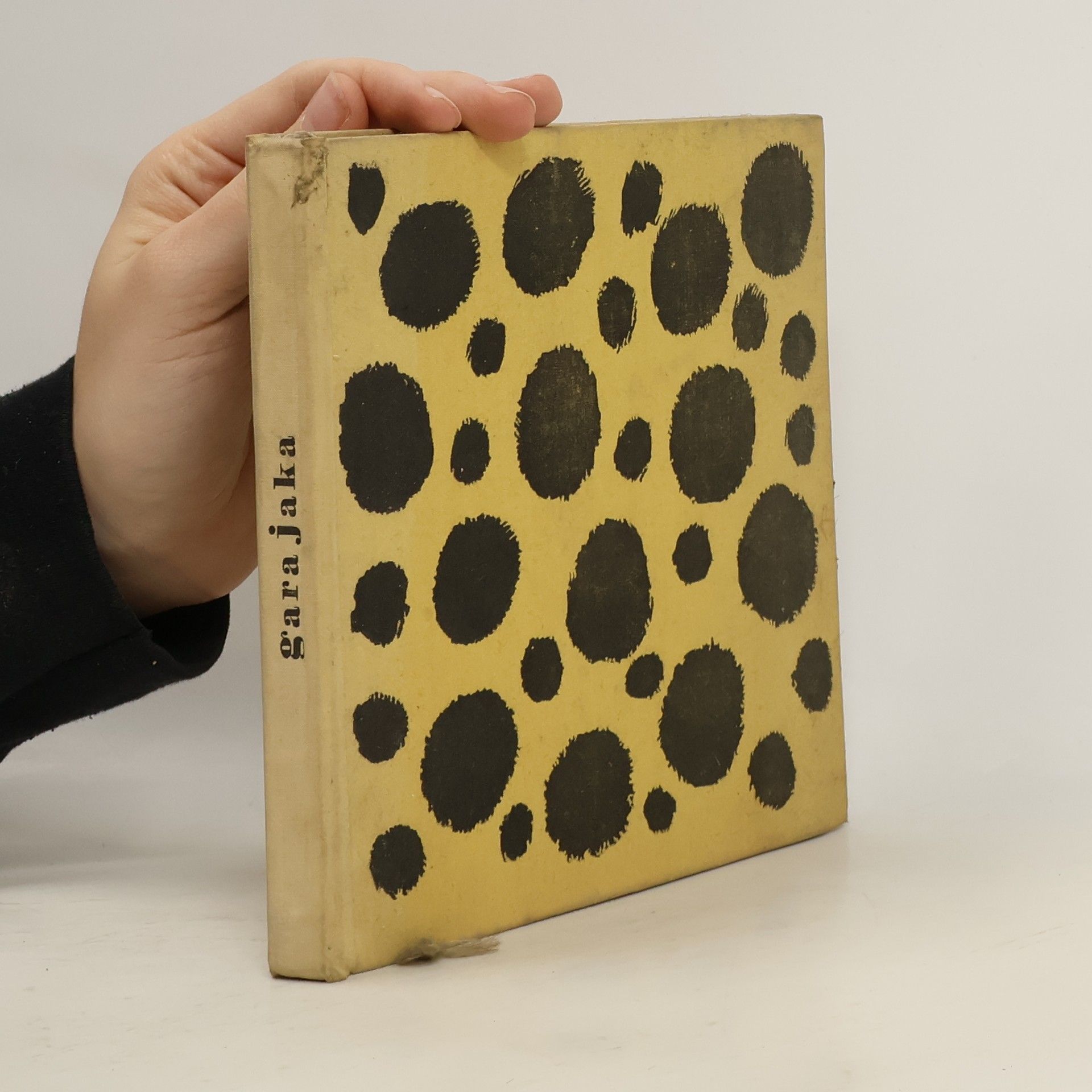 Gara Jaka. Příběh geparda